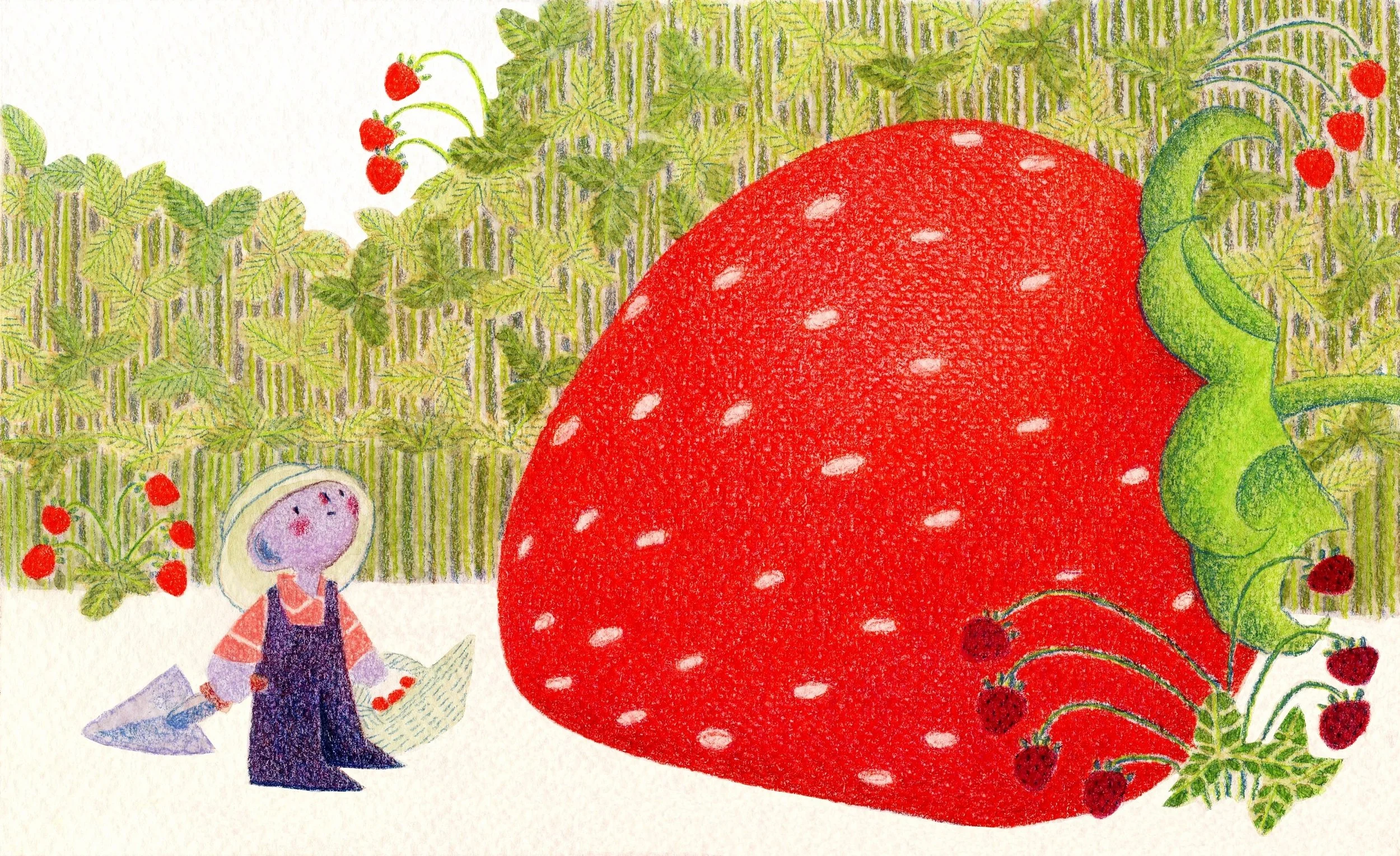 Strawberry.jpg