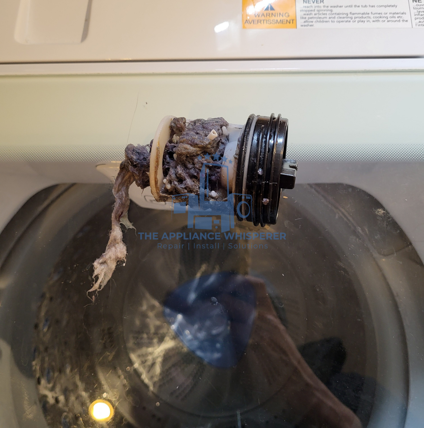 Washer machine not draining dirty filter