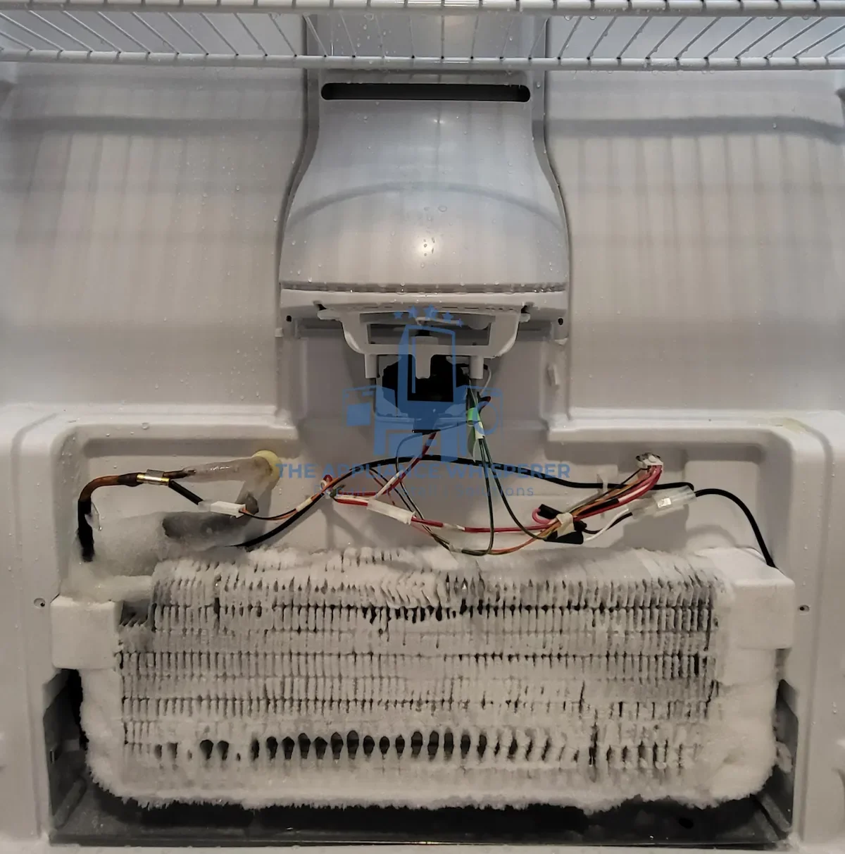 The interior of a refrigerator with its back panel removed, exposing the evaporator coil, wiring, and other components.