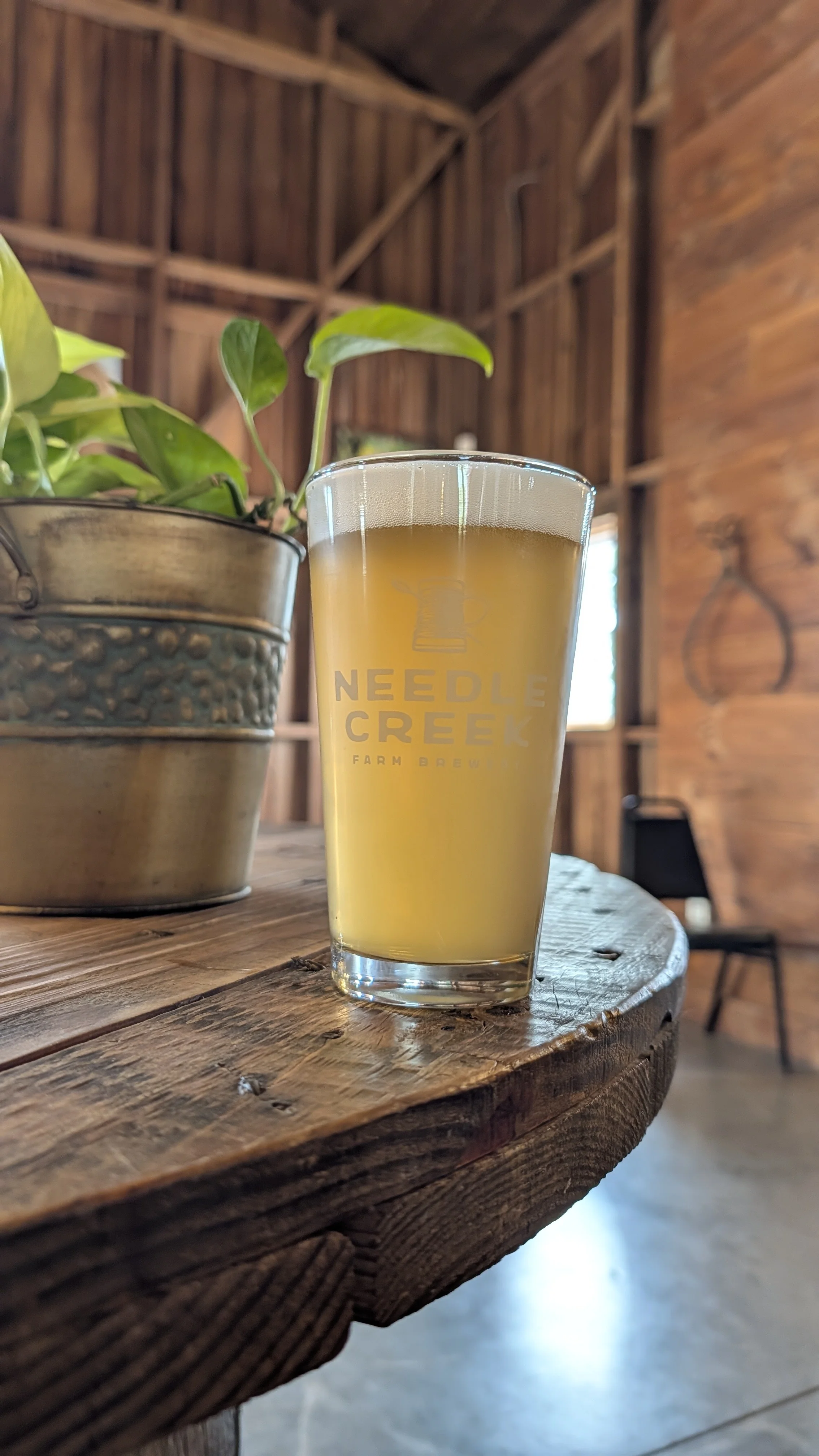 A glass of pale yellow beer with foam at the top, on a rustic wooden table, with the logo 'Needle Creek Farm Brewery' on it. To the left, a metal bucket with green leafy plant inside. The background shows a wooden interior with natural wood walls and ceiling.