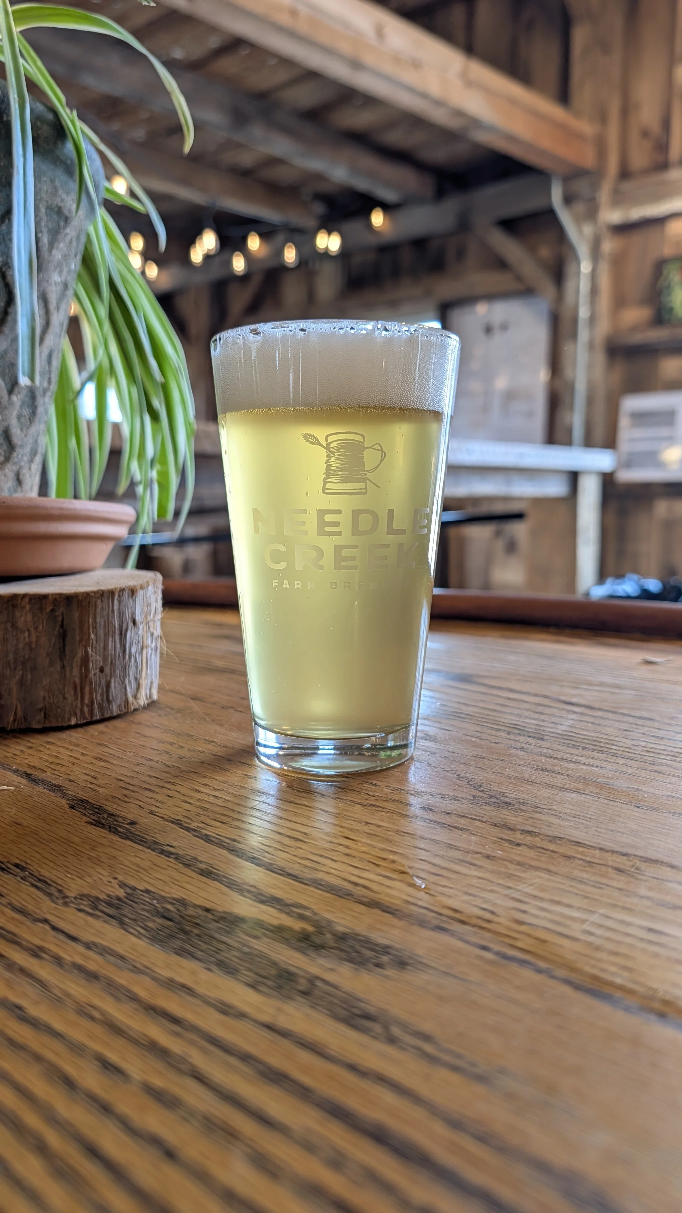 A glass of pale yellow beer with foam, on a wooden table, in a rustic setting with wooden walls and string lights. The glass has 'Needle Creek Farm Brewery' written on it, with a spool of thread and a needle icon.