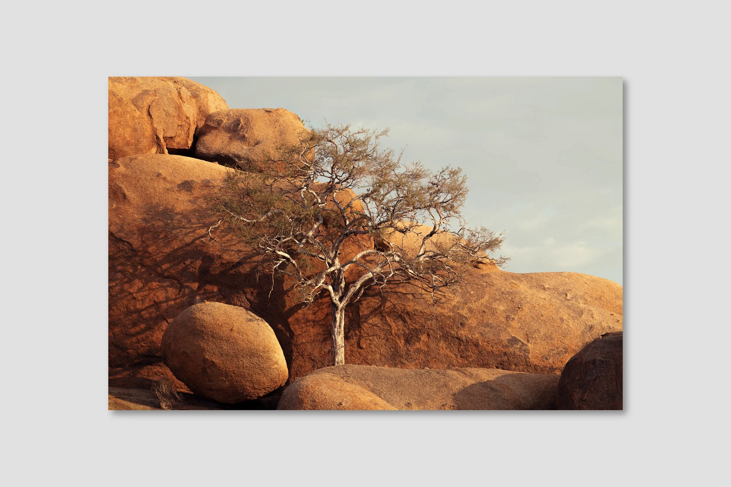 DESERT 11 - box frame