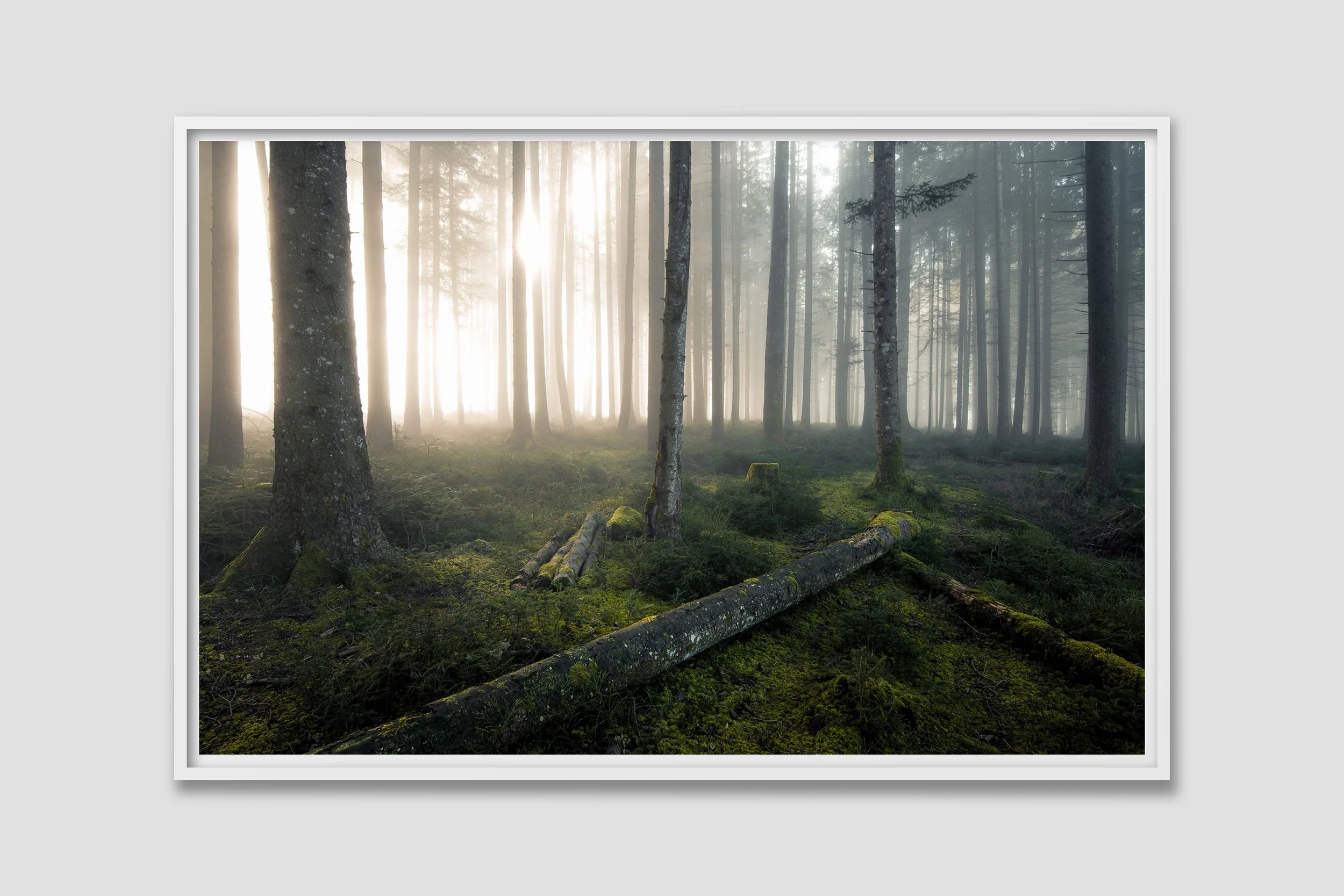 LAND 06 - white frame