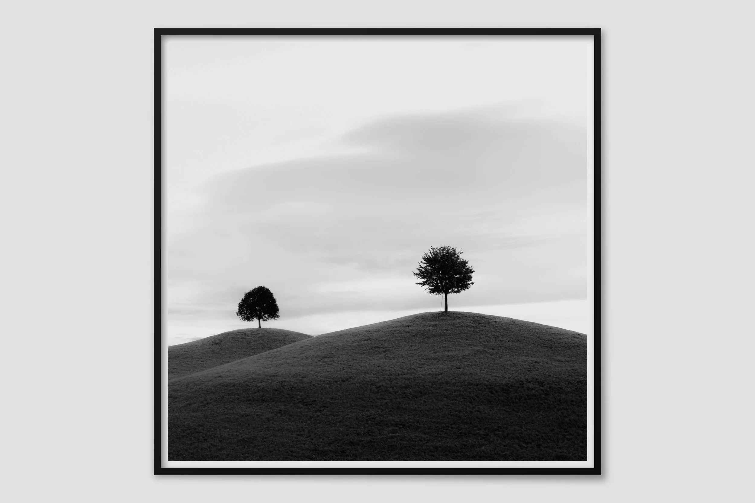 LAND MONO 04 - black frame