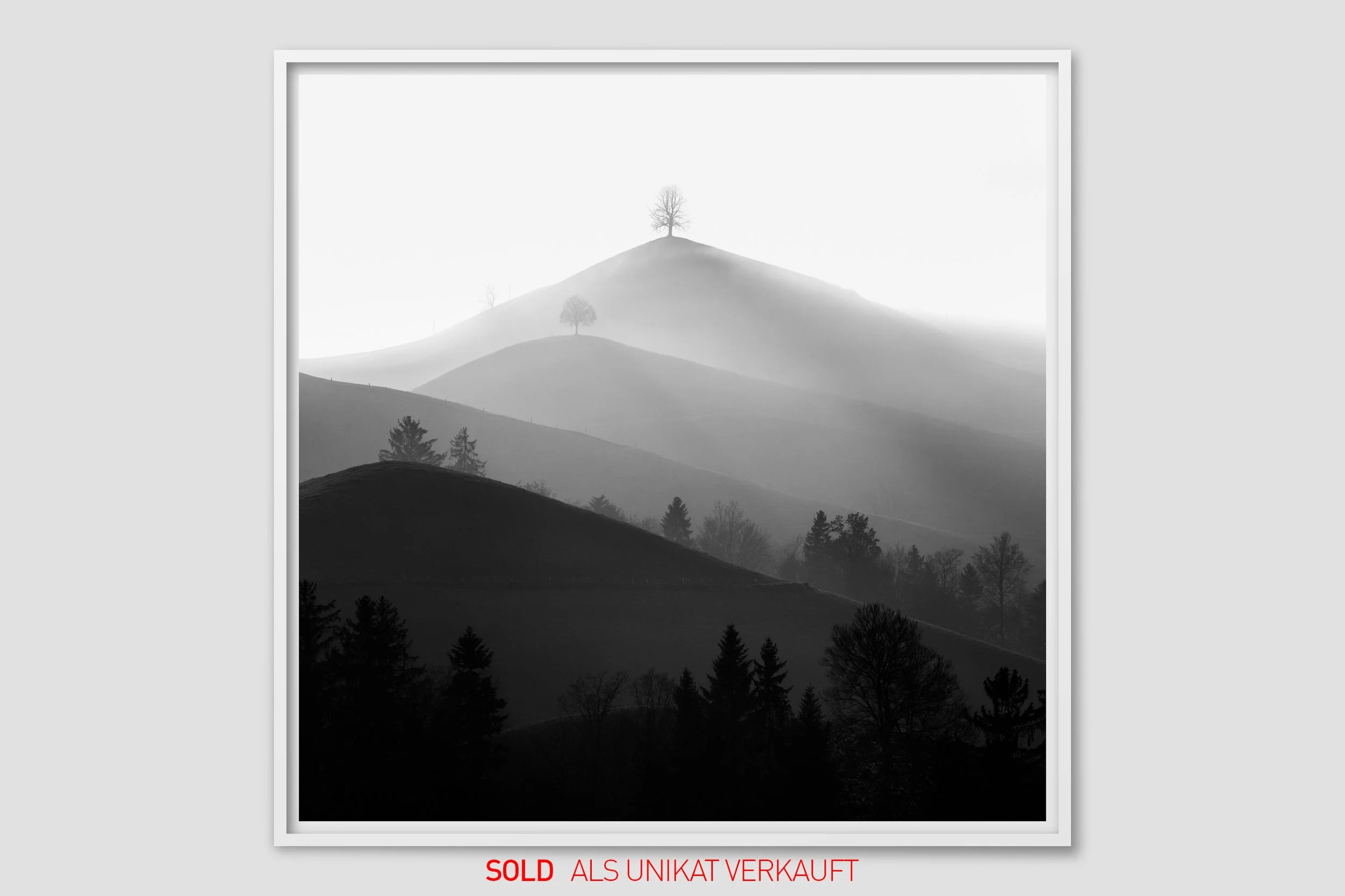 Greta_5134_w_sold.jpg