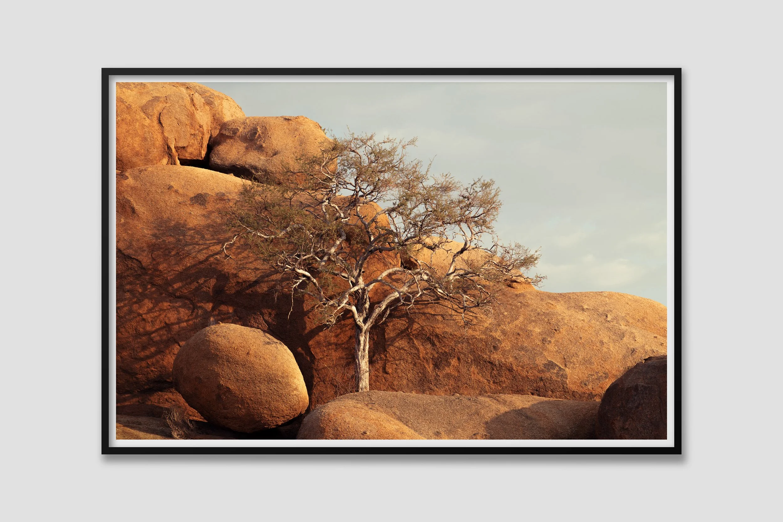 DESERT 11 - black frame