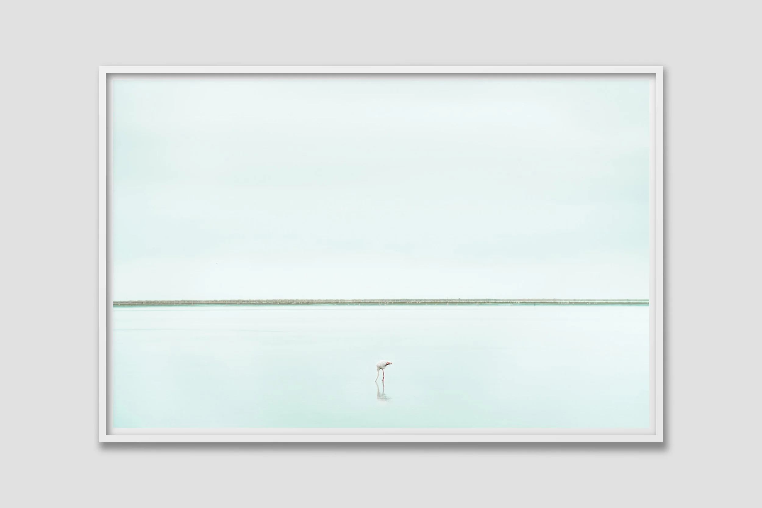 SEA 03 - white frame