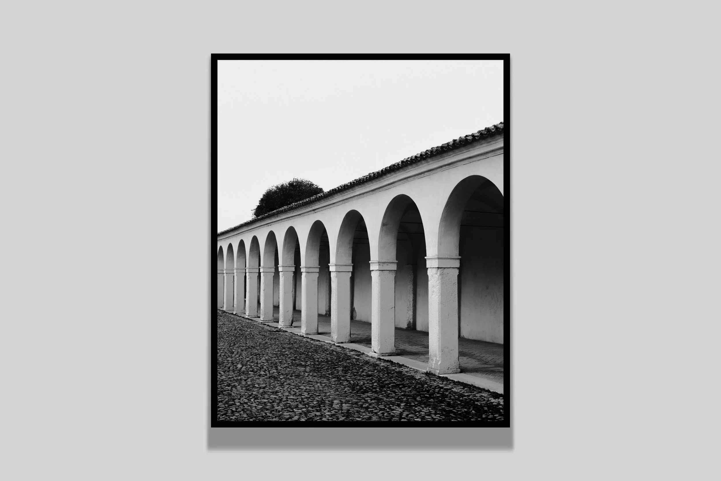 DELTA DEL PO N0:12 - ITALY