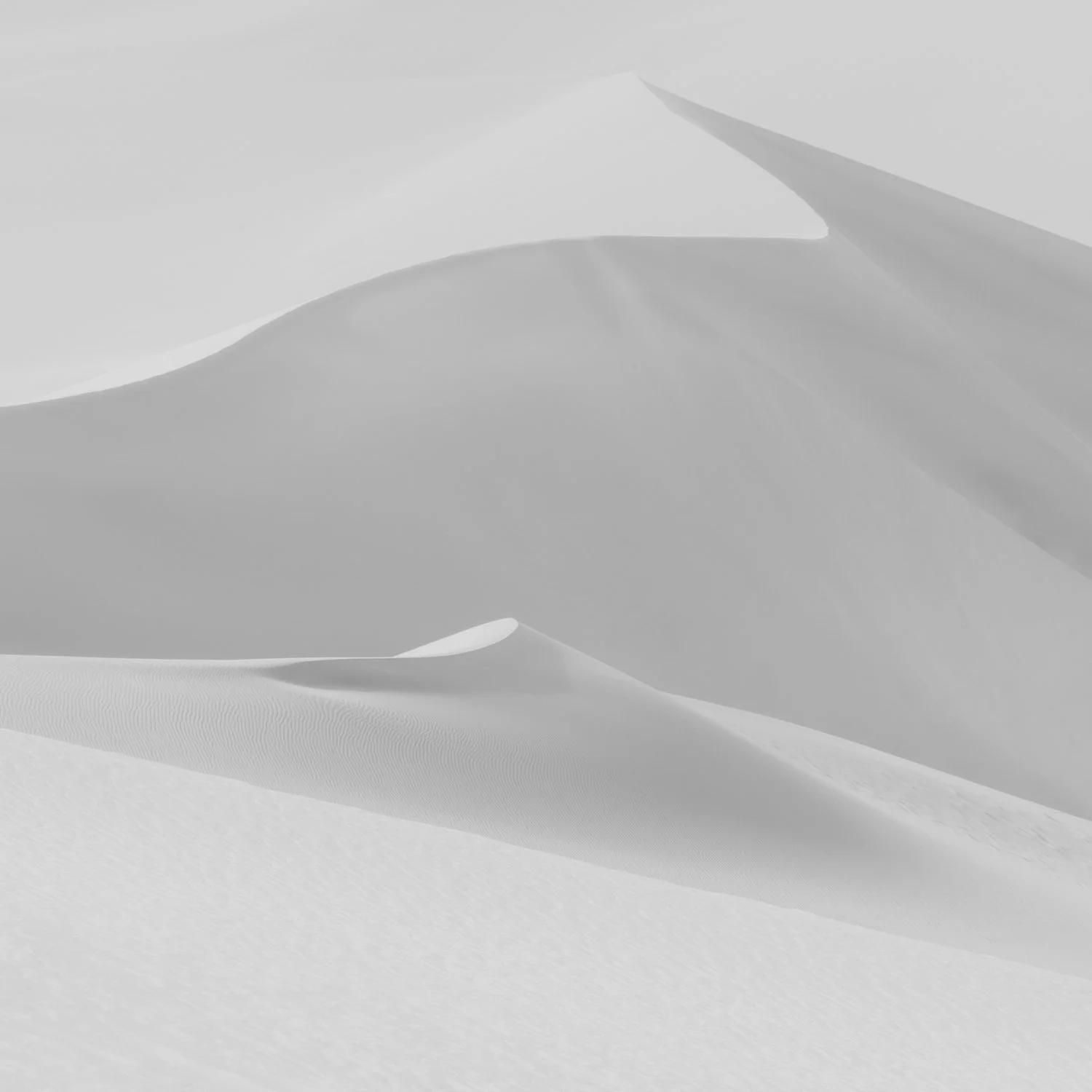 DESERT MONO 04