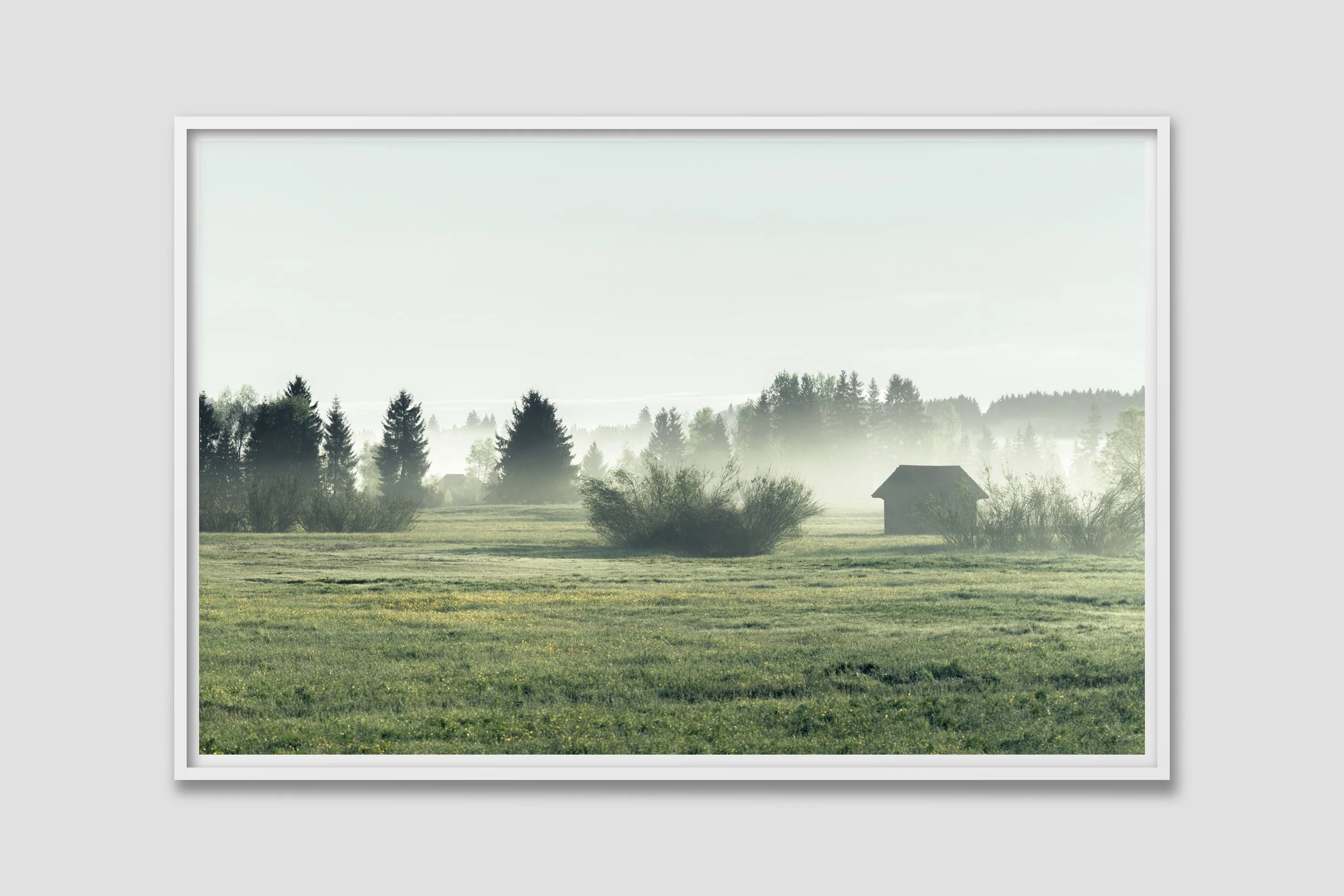 LAND 14 - white frame