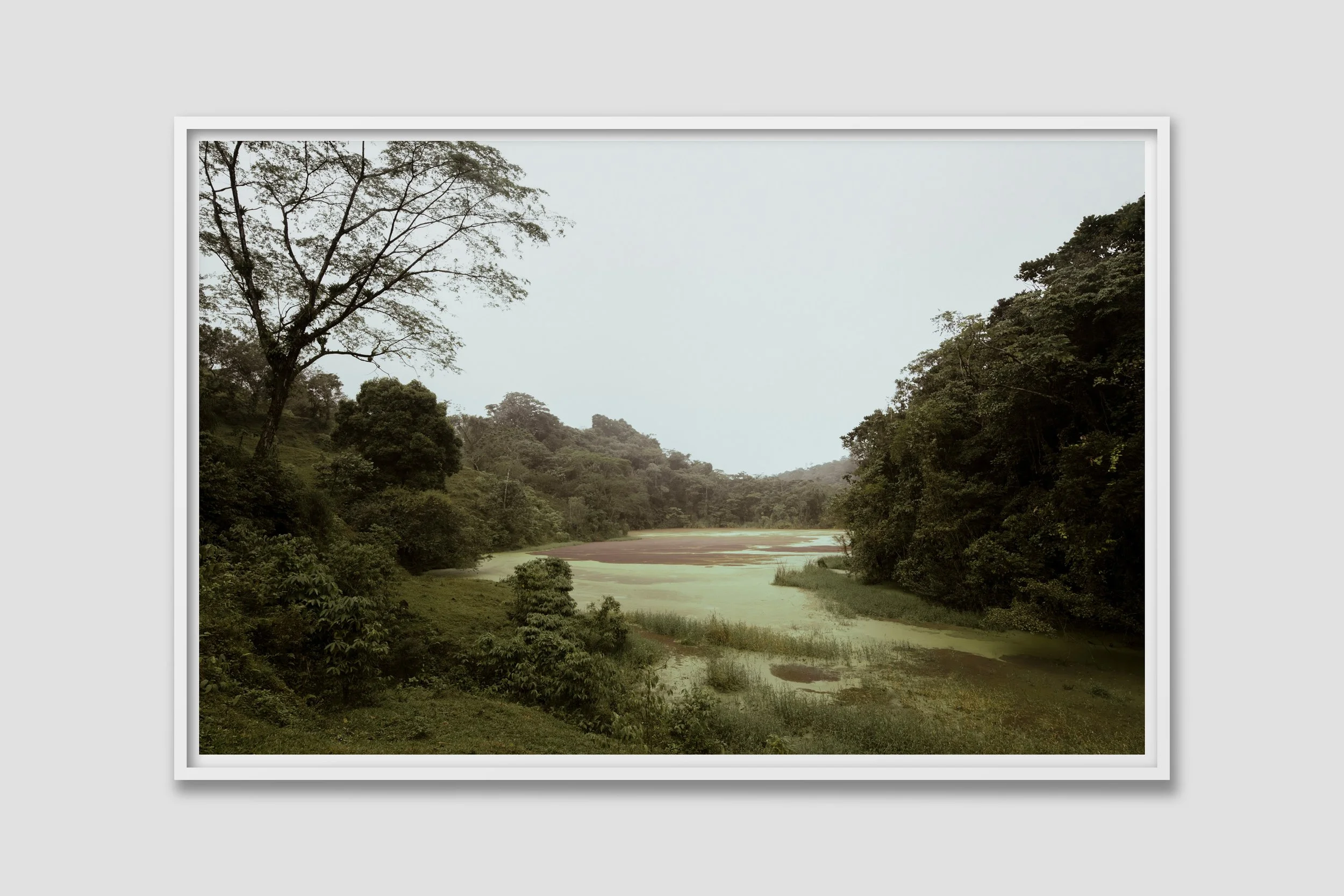 LAND 08 - white frame