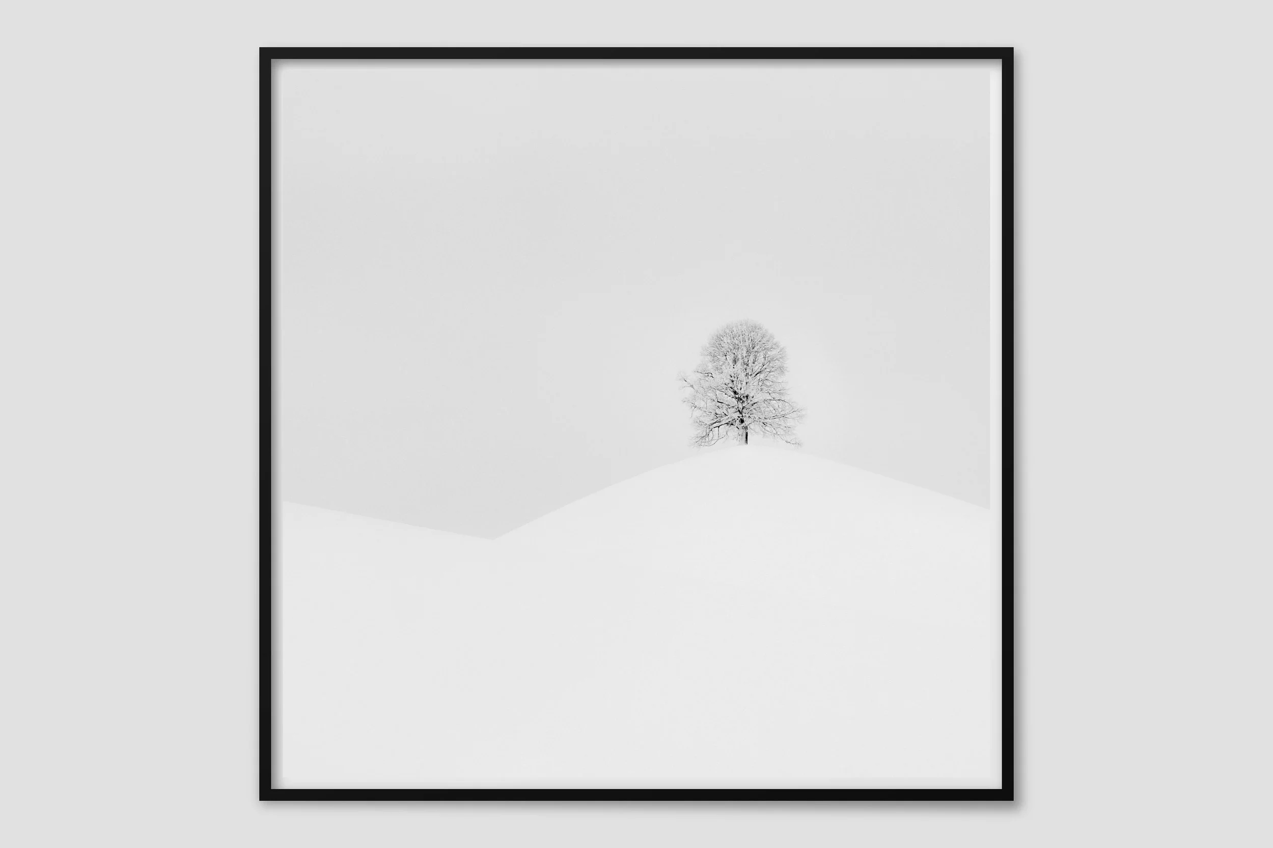 LAND MONO 02 - black frame