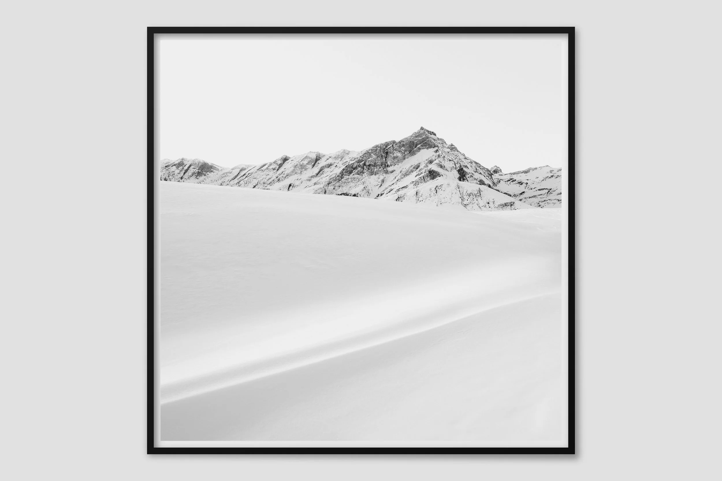 ALPS MONO 11 - black frame