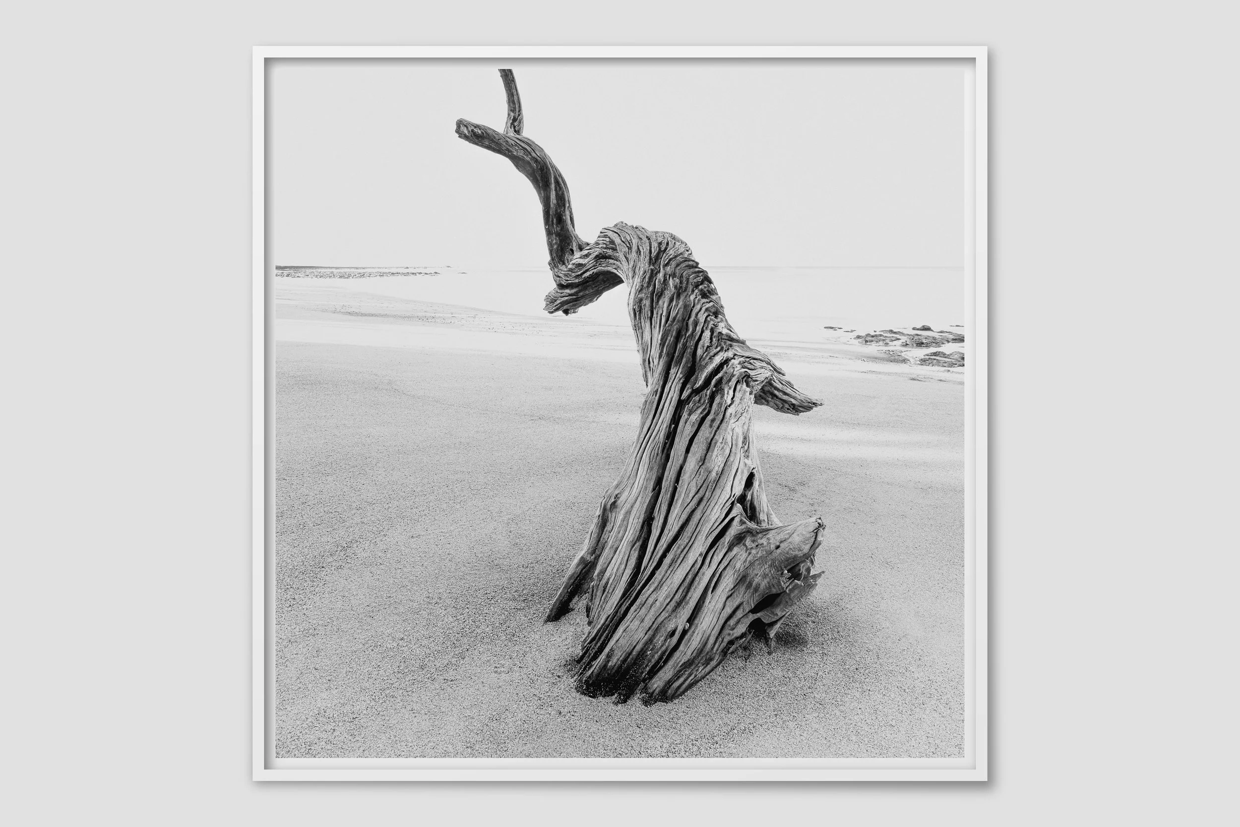 SEA MONO 11 - white frame