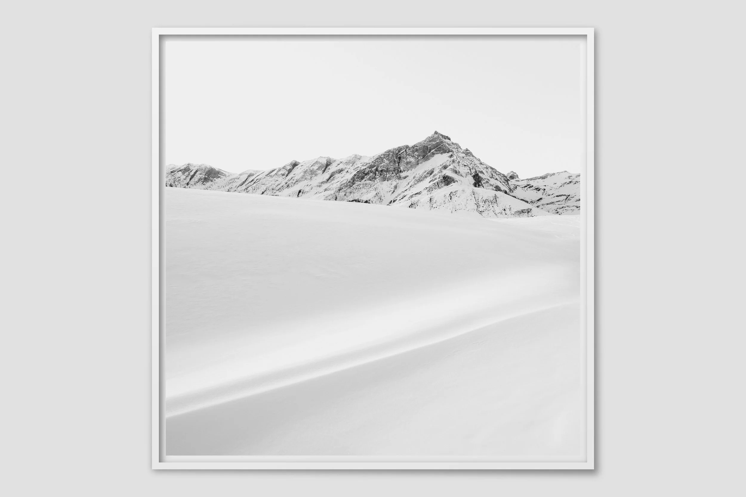 ALPS MONO 11 - white frame