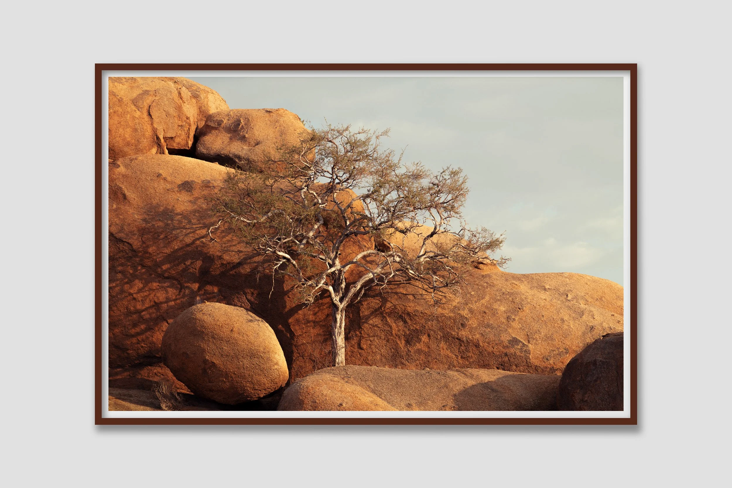 DESERT 11 - colored frame to match the mood