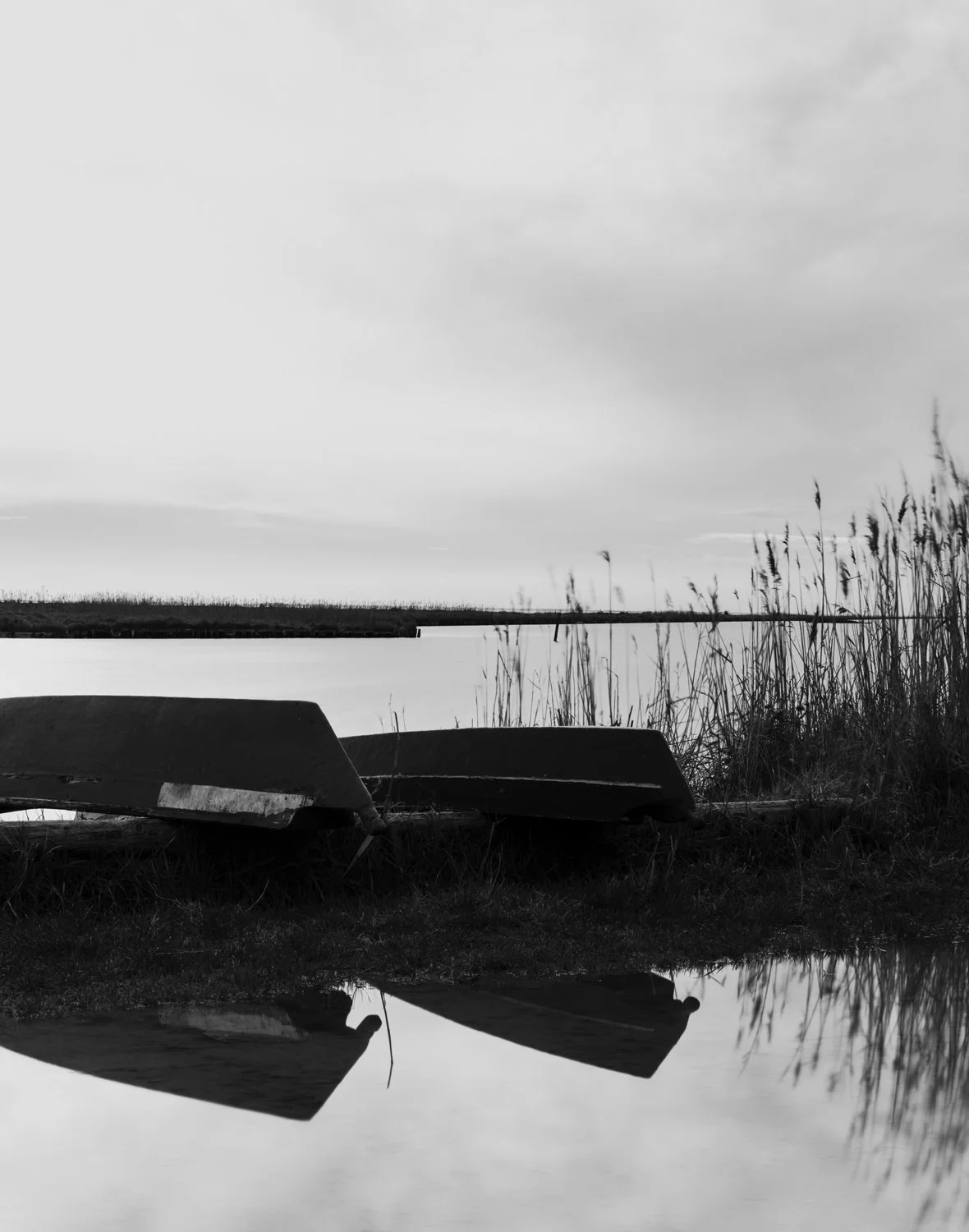 NEW 2026: Silent Lagoon Monochrom