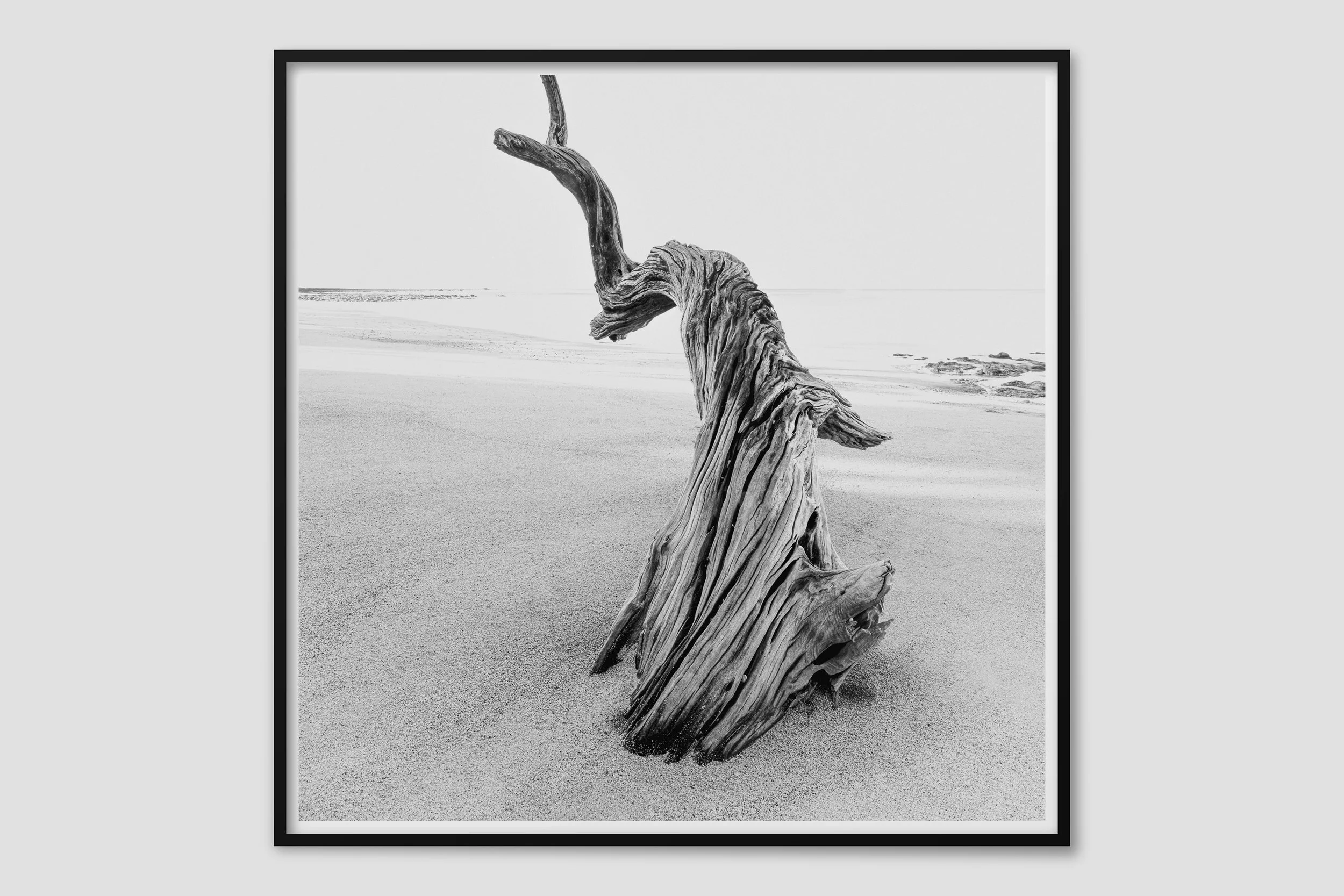 SEA MONO 11 - black frame