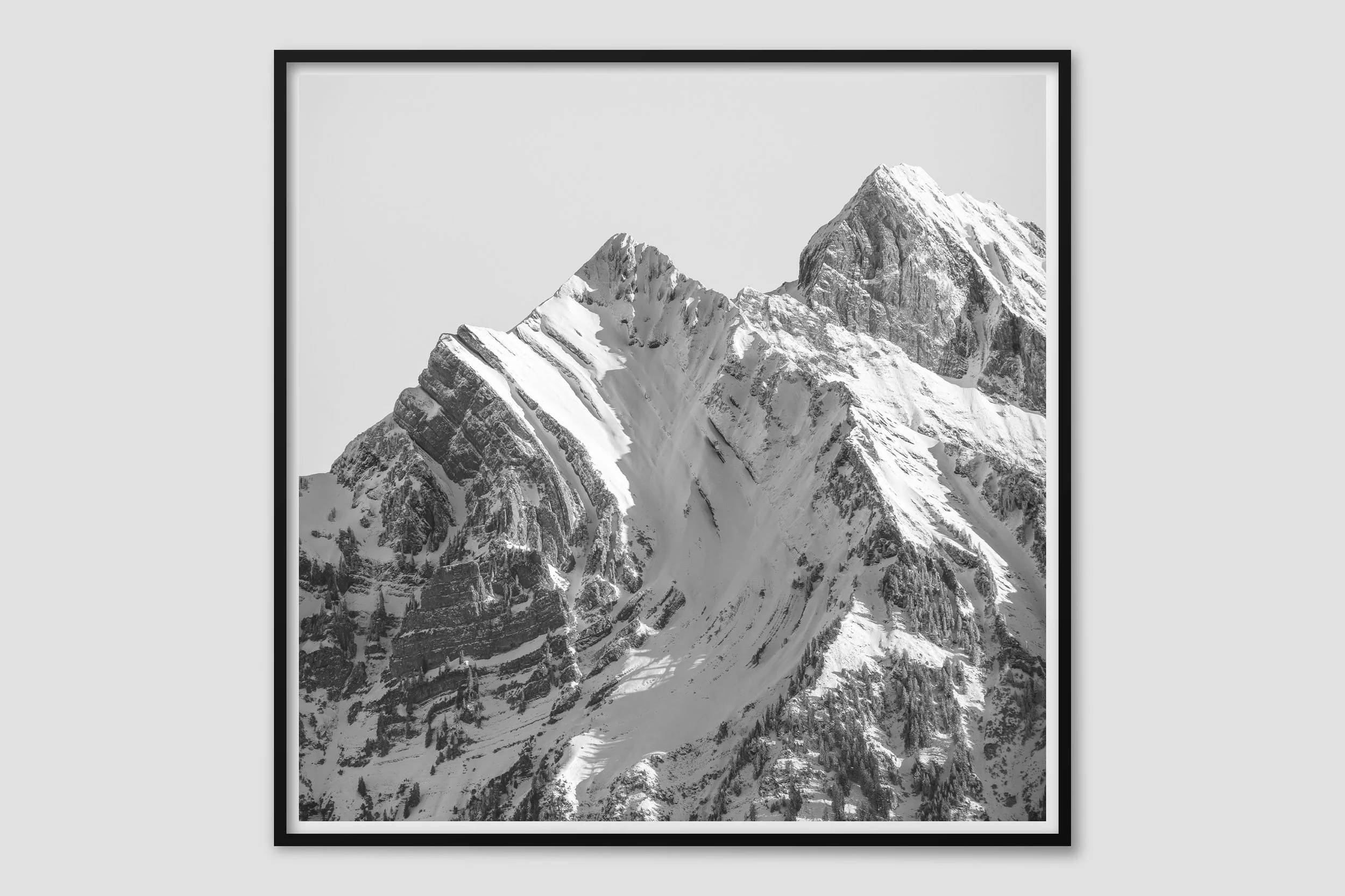 ALPS MONO 01 - black frame