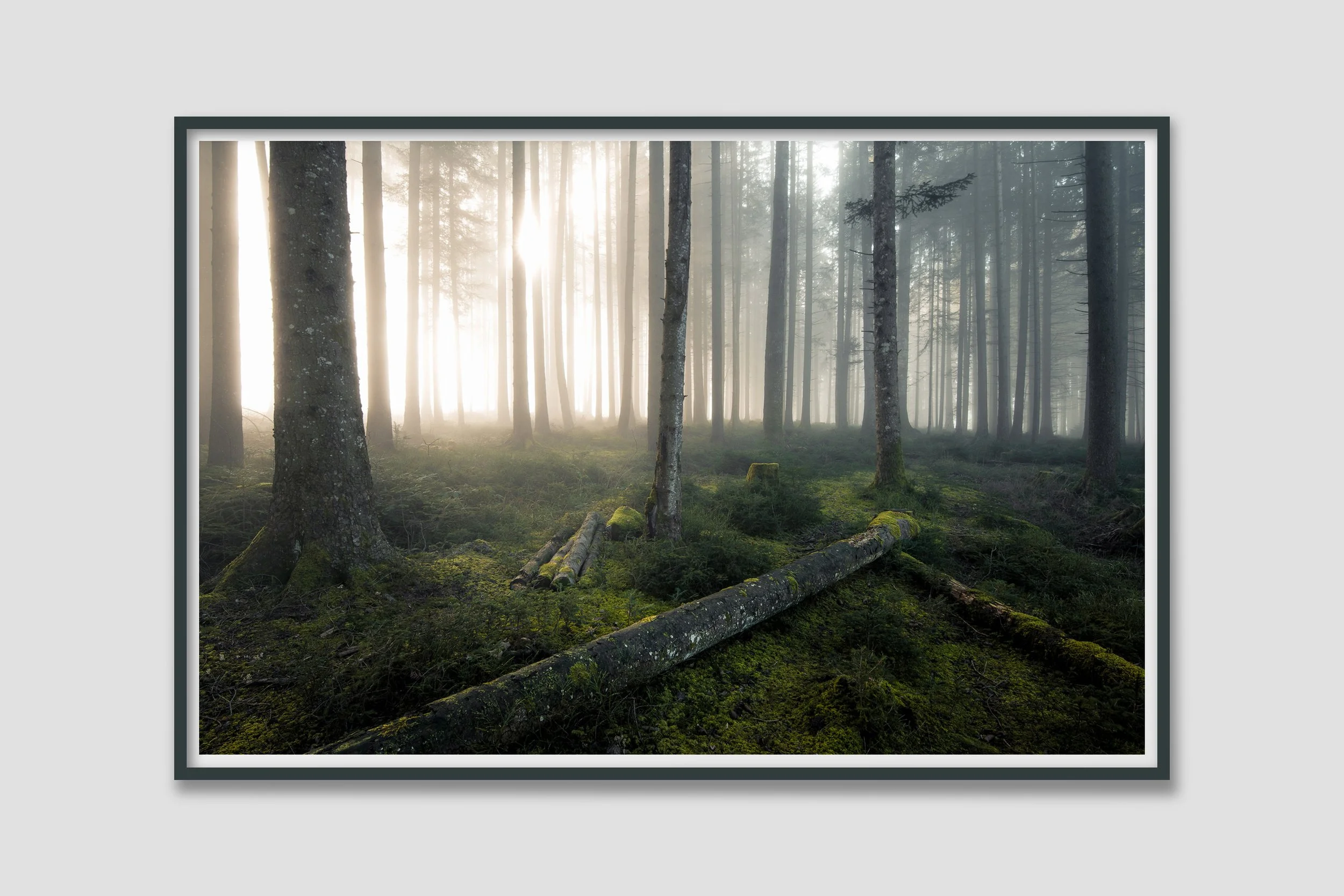 LAND 06 - colored frame to match the mood