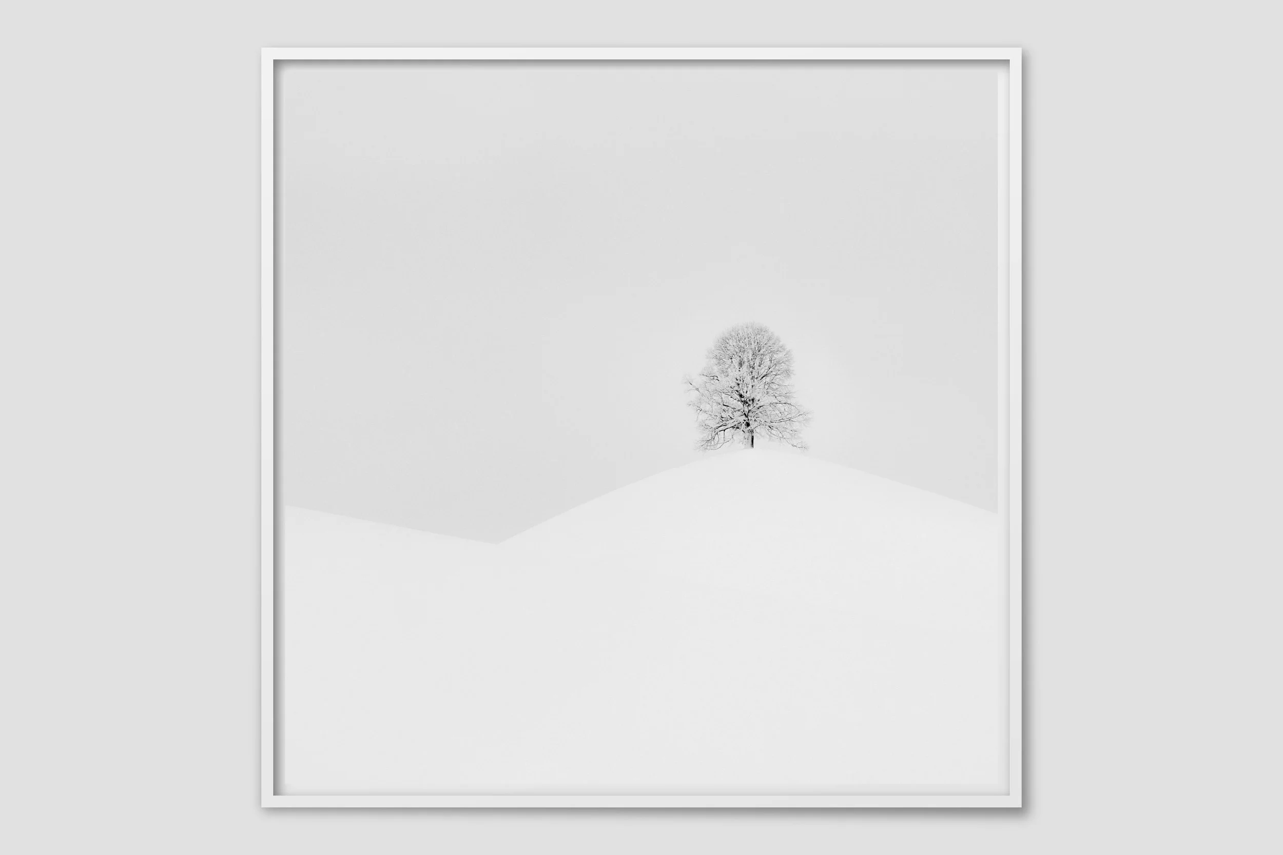 LAND MONO 02 - white frame