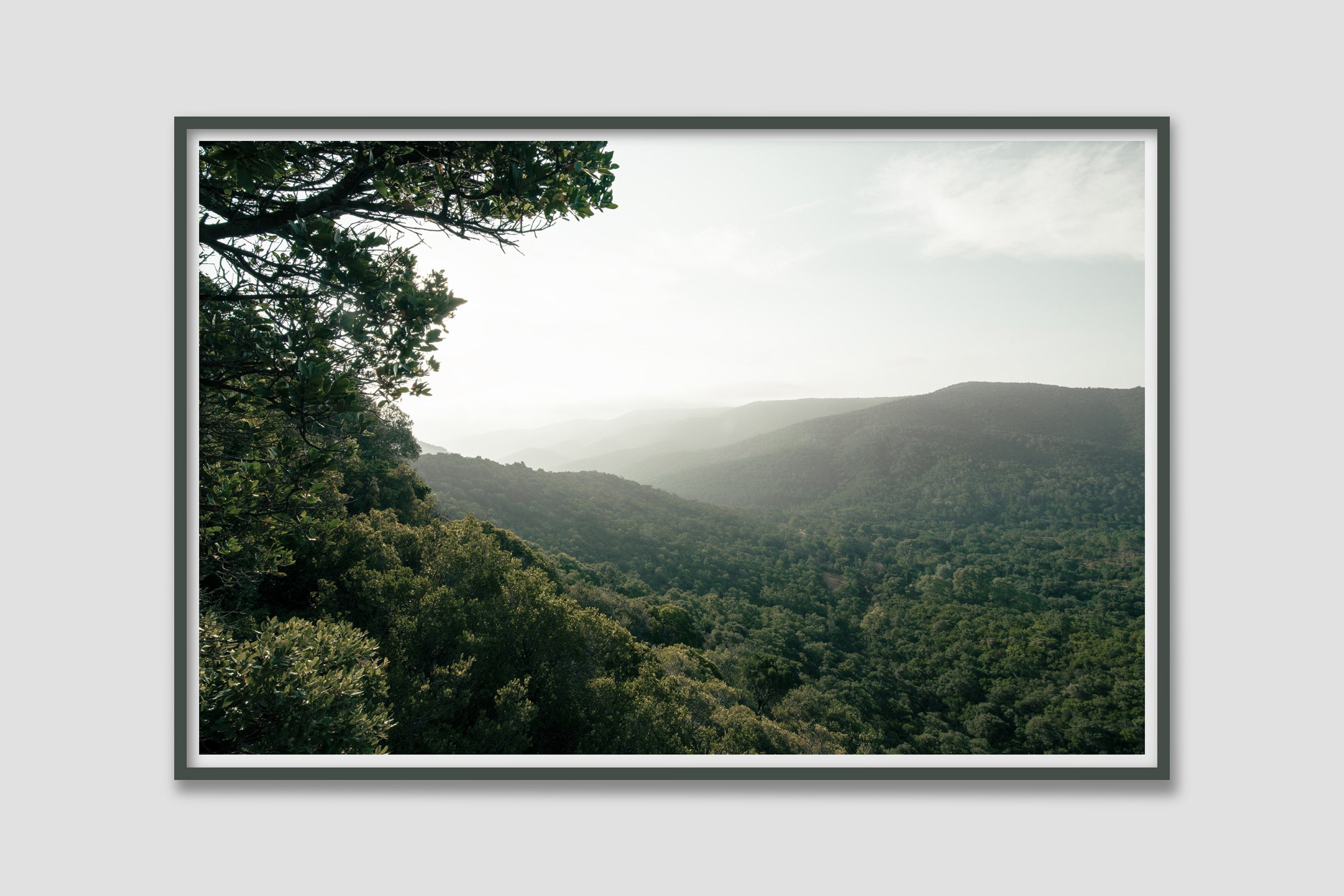 LAND 05 - colored frame to match the mood