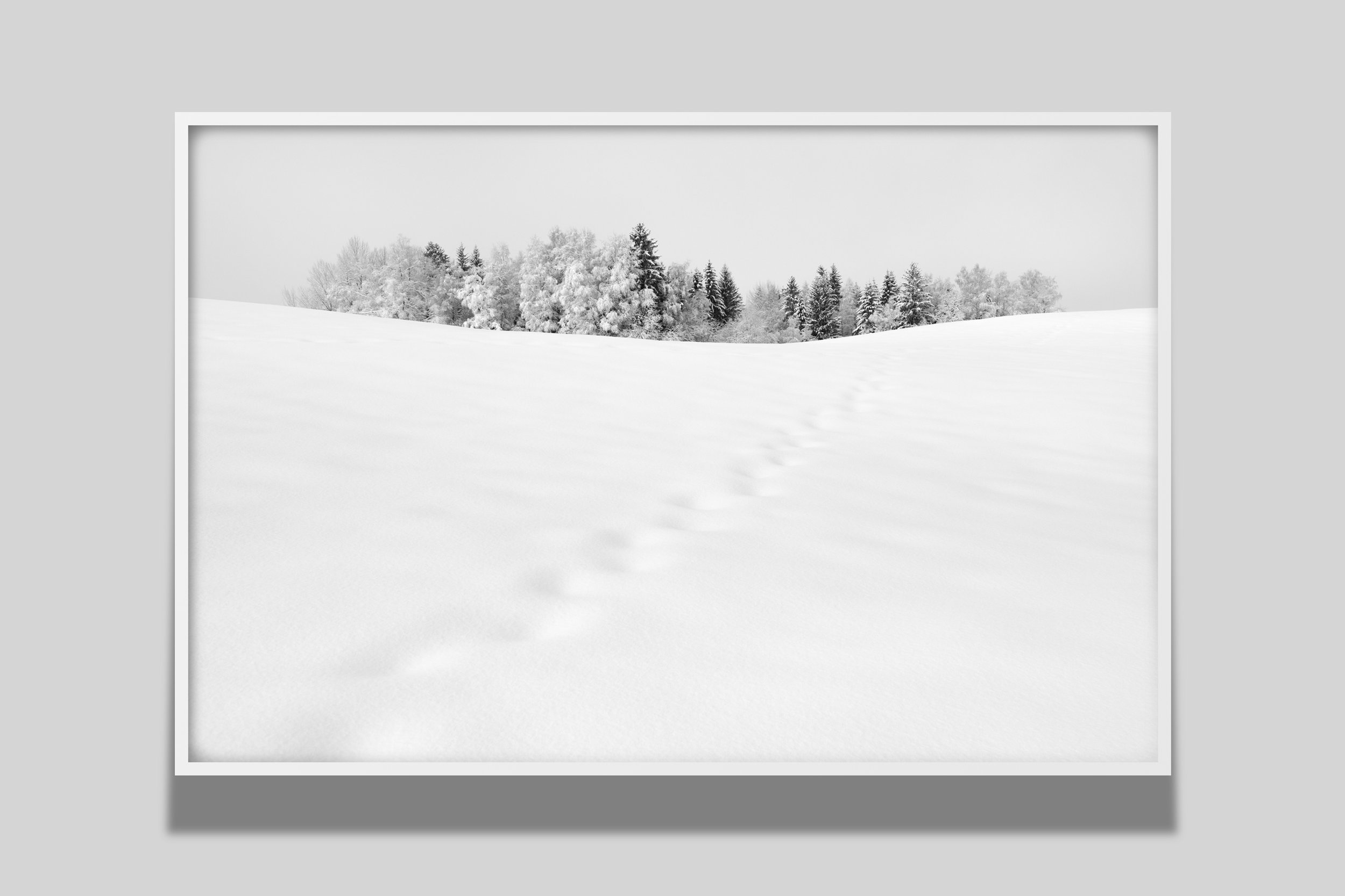 Nelio_schatten_8202_w.jpg