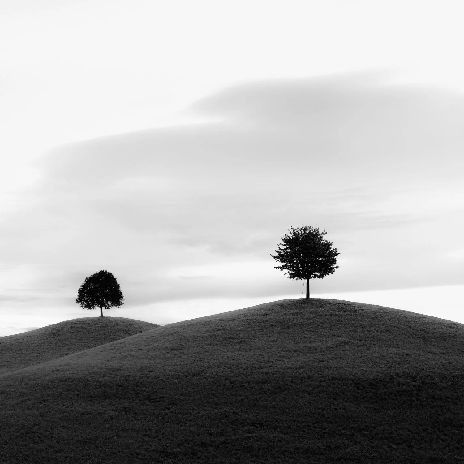 LAND MONO 04