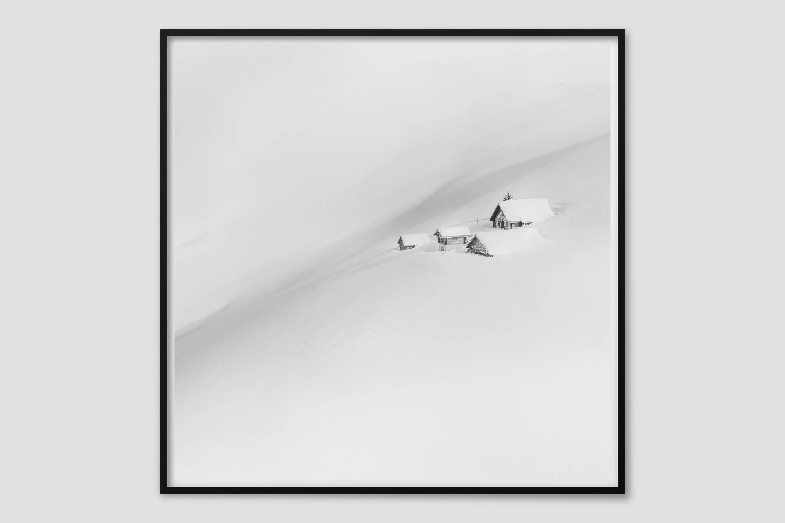ALPS MONO 14 - black frame