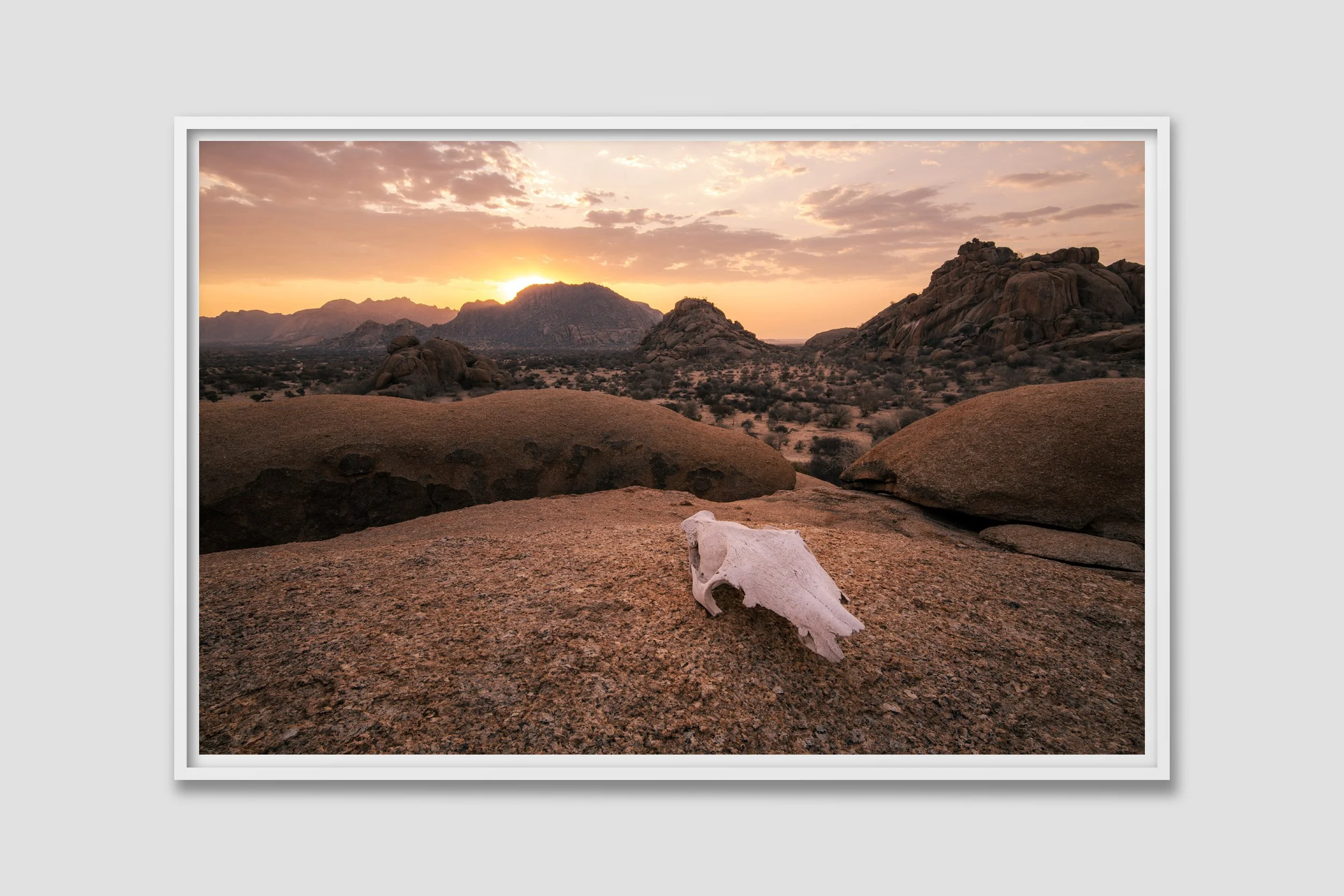 DESERT 12 - white frame