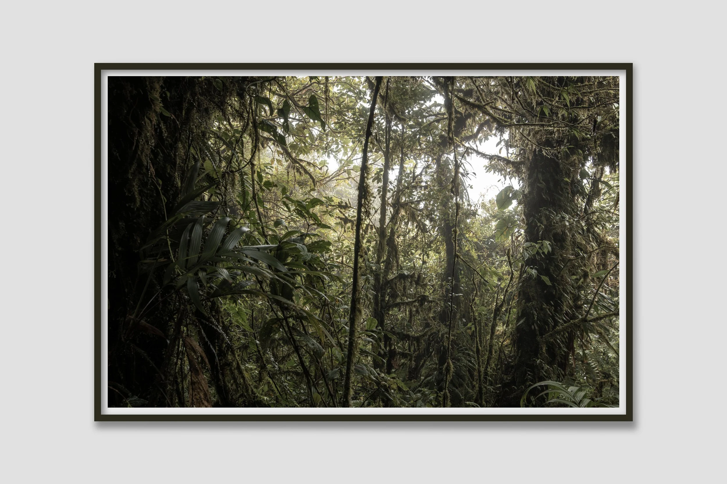 LAND 07 - colored frame to match the mood