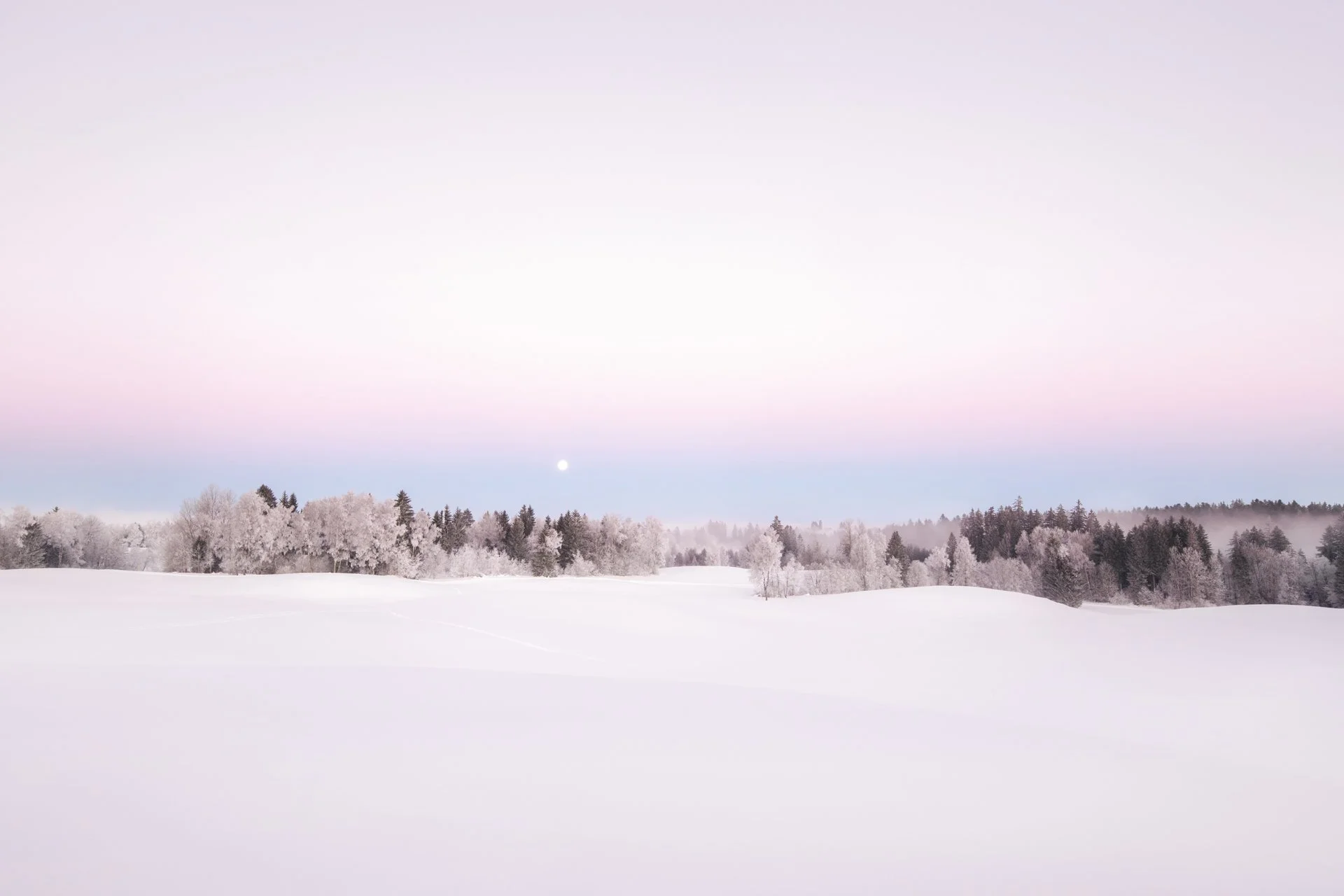 Walchwilerberg, sold as SINGLE EDITION