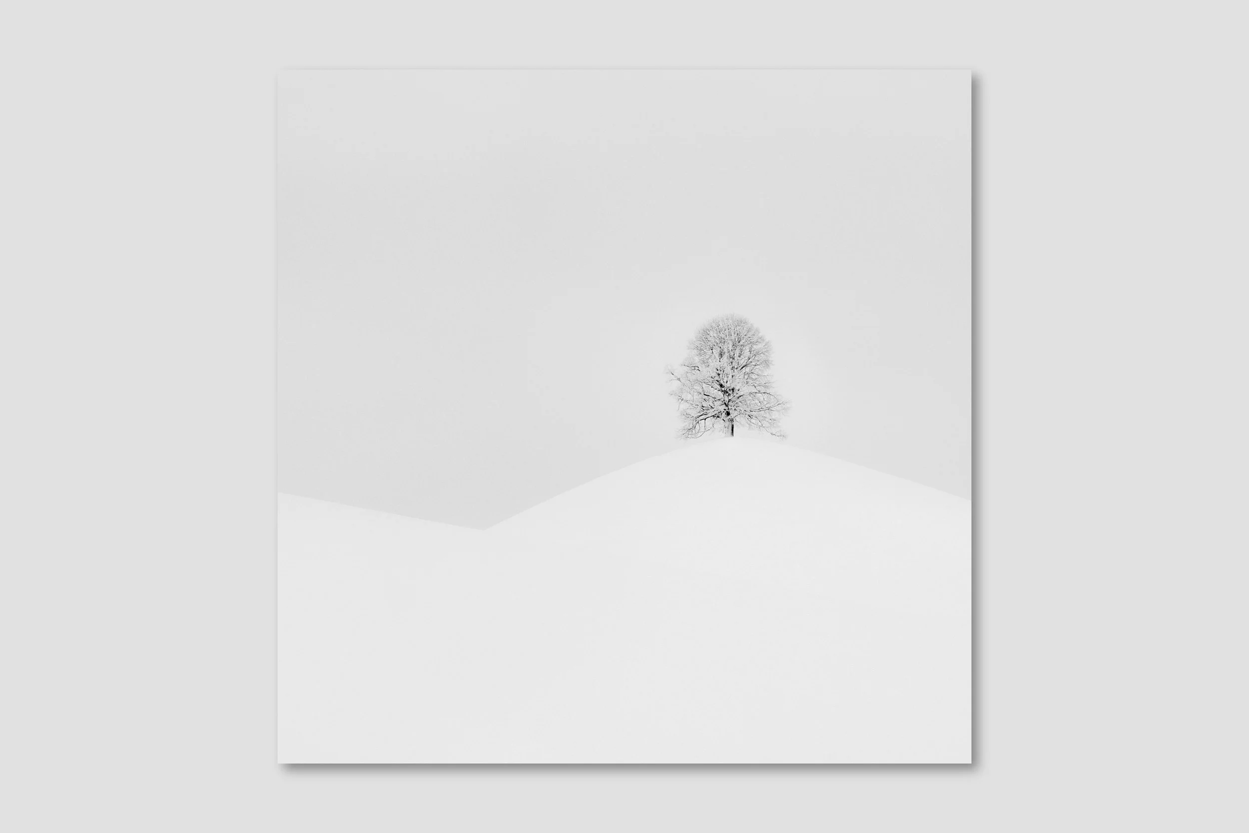 LAND MONO 02 - box frame