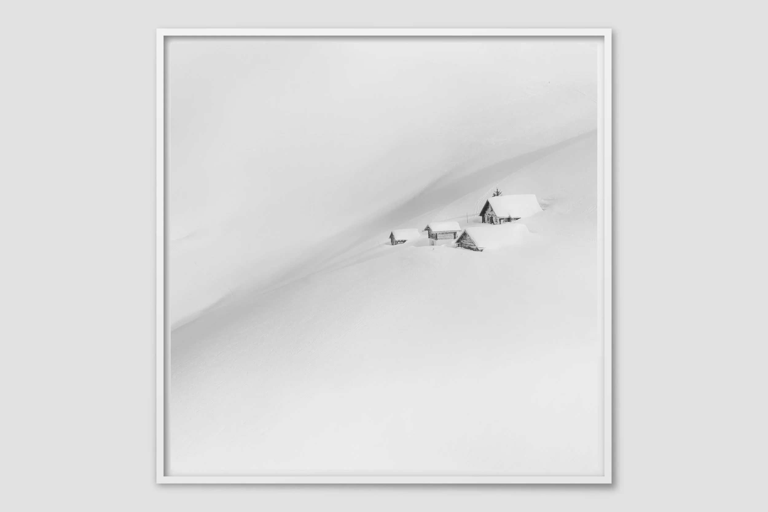 ALPS MONO 14 - white frame