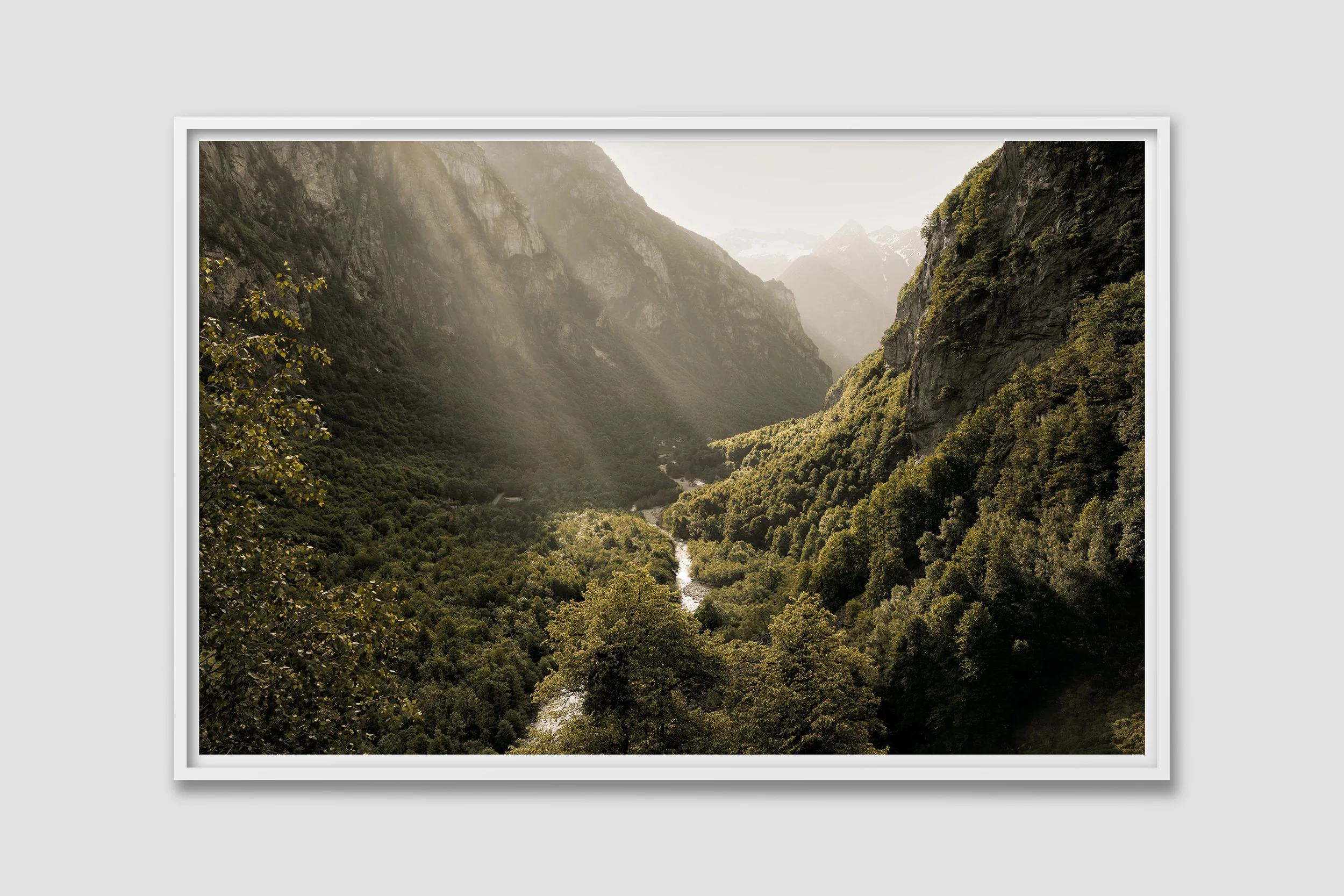 ALPS 07 - white frame