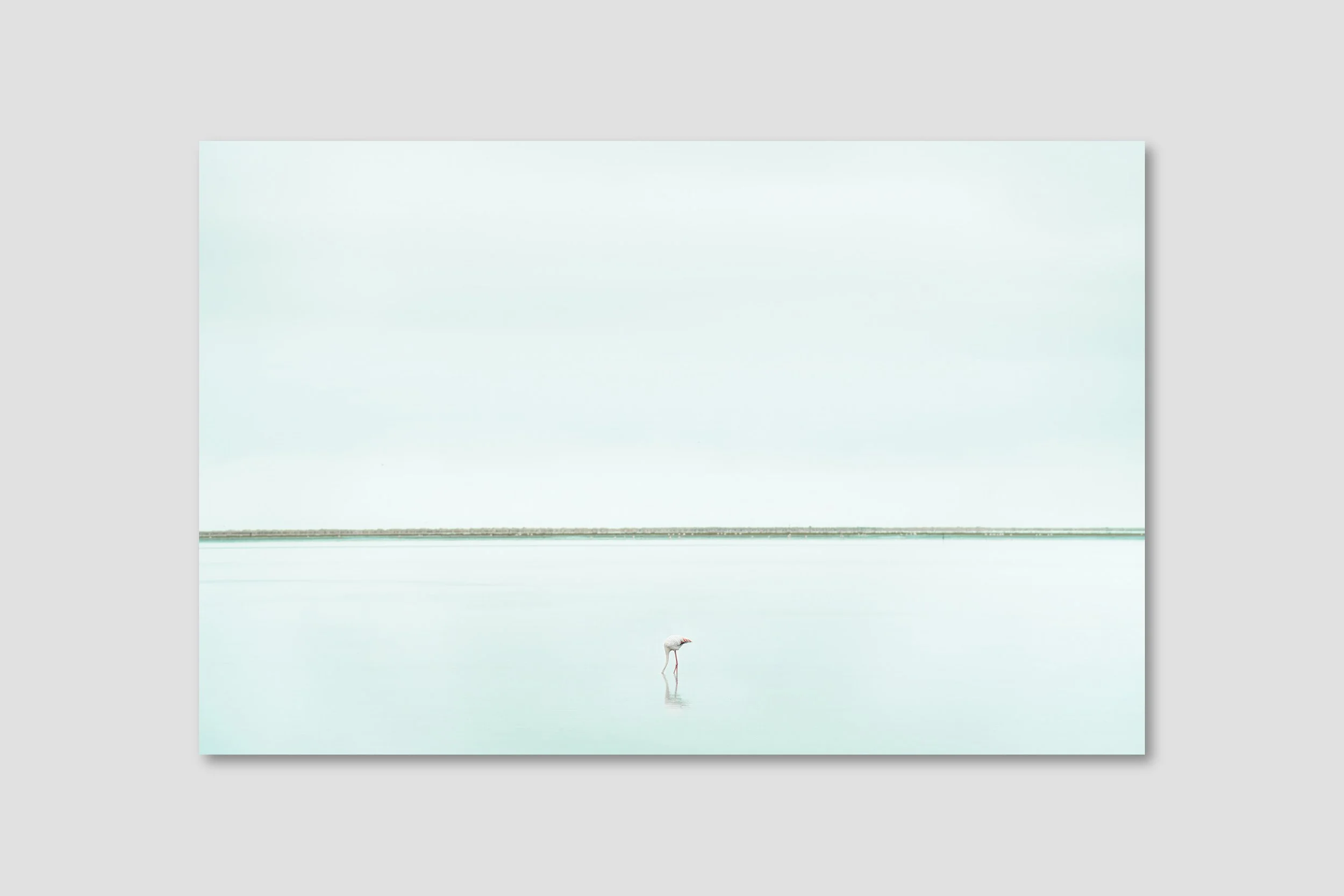 SEA 03 - black frame