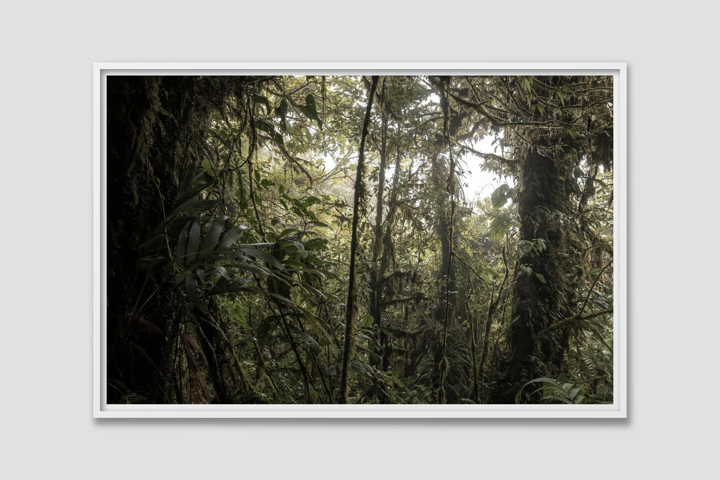 LAND 07 - white frame