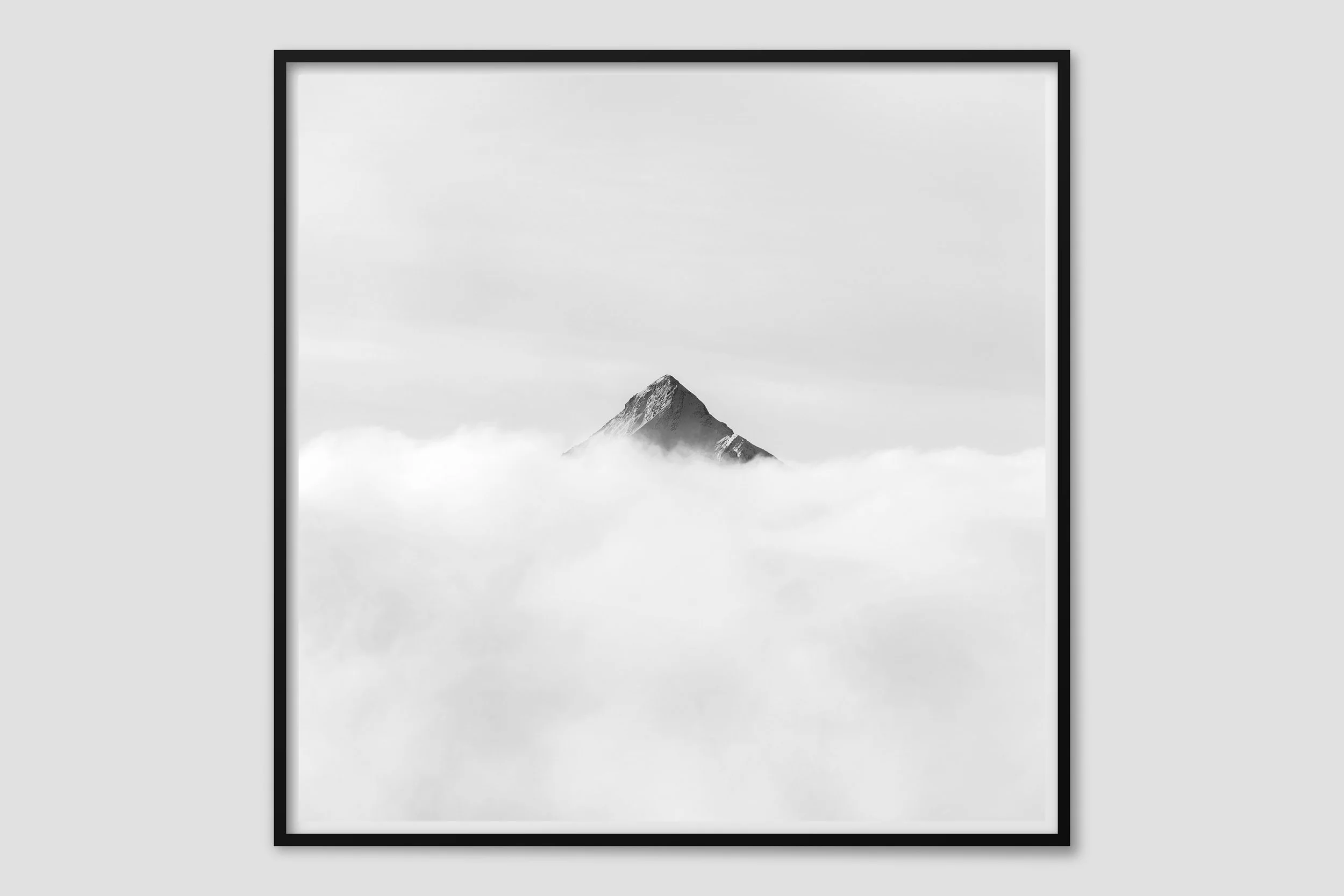 ALPS MONO 09 - black frame