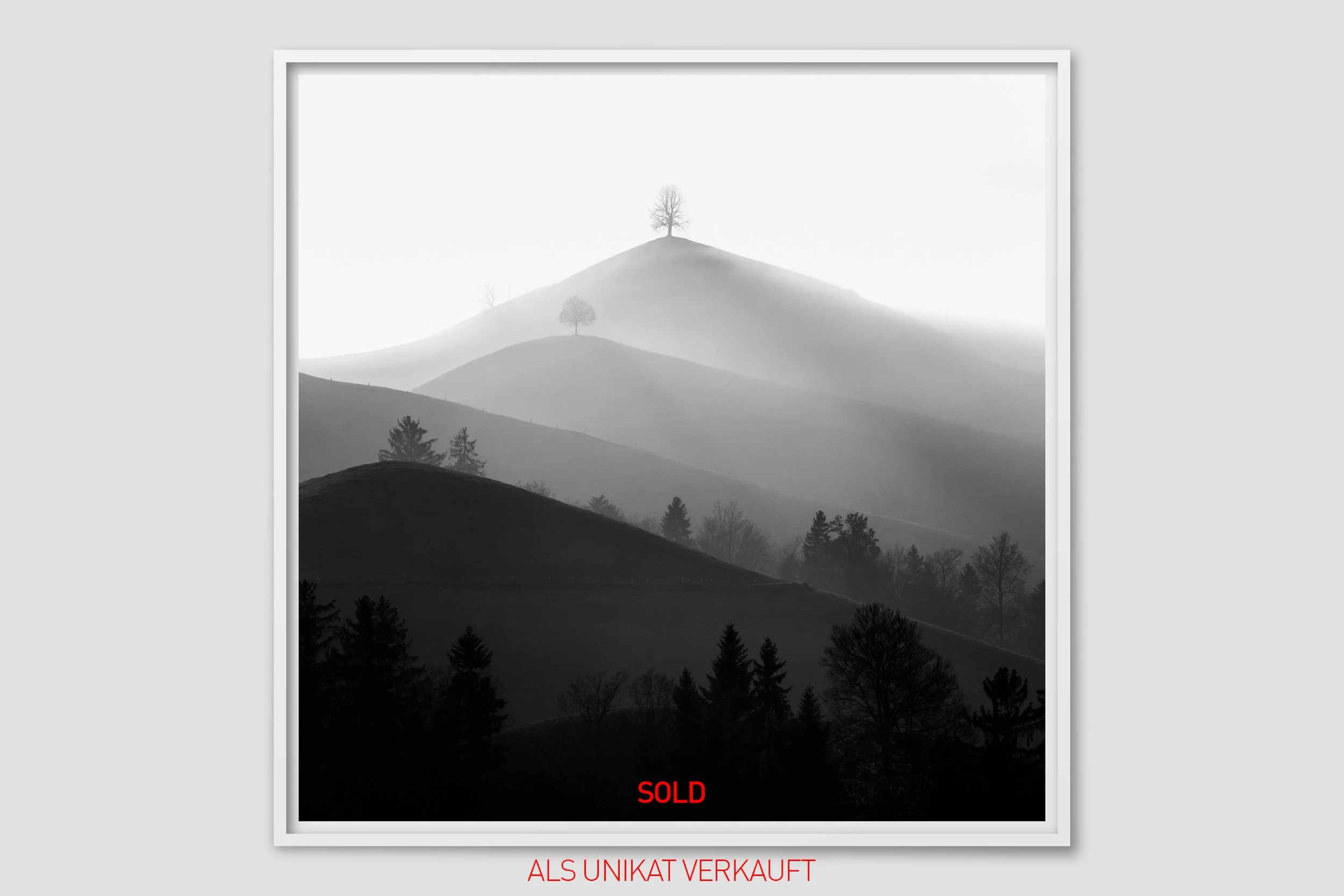 Greta_5134_w_sold.jpg