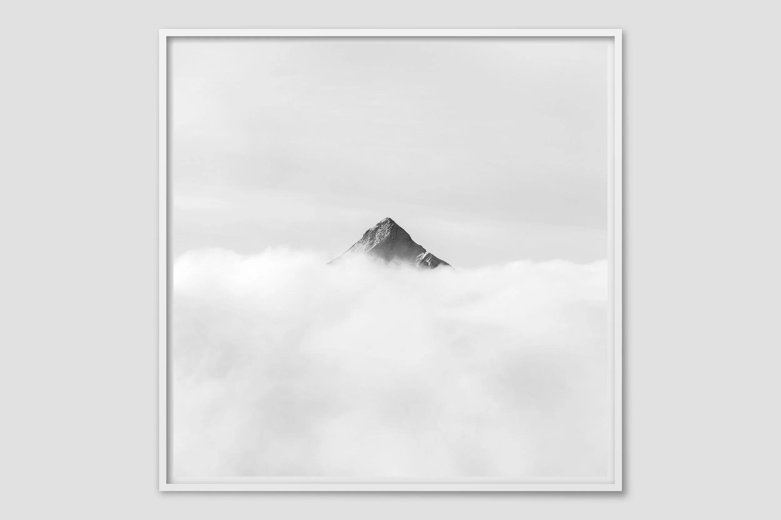 ALPS MONO 09 - white frame