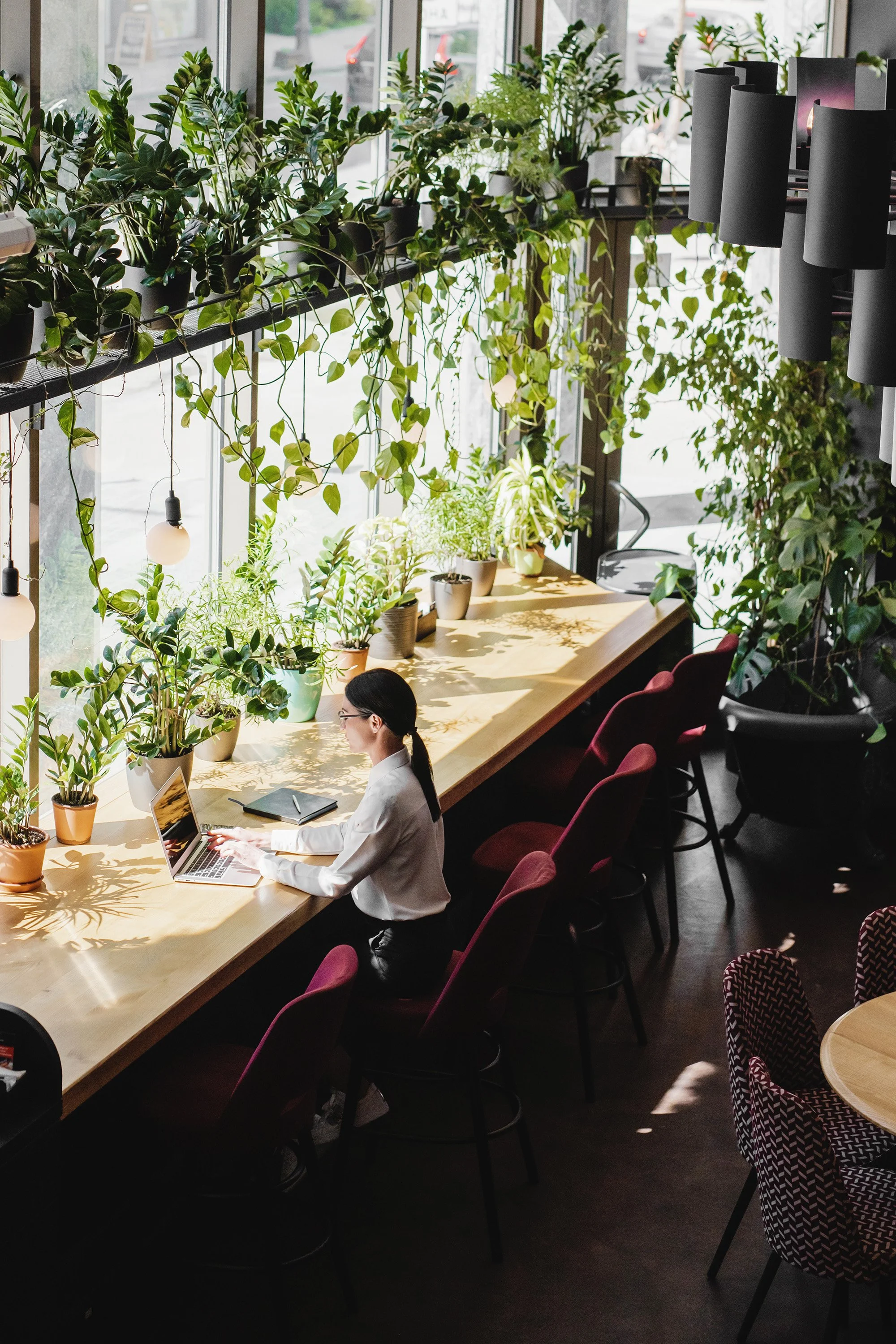 What Science Is Teaching Us About Designing with Plants