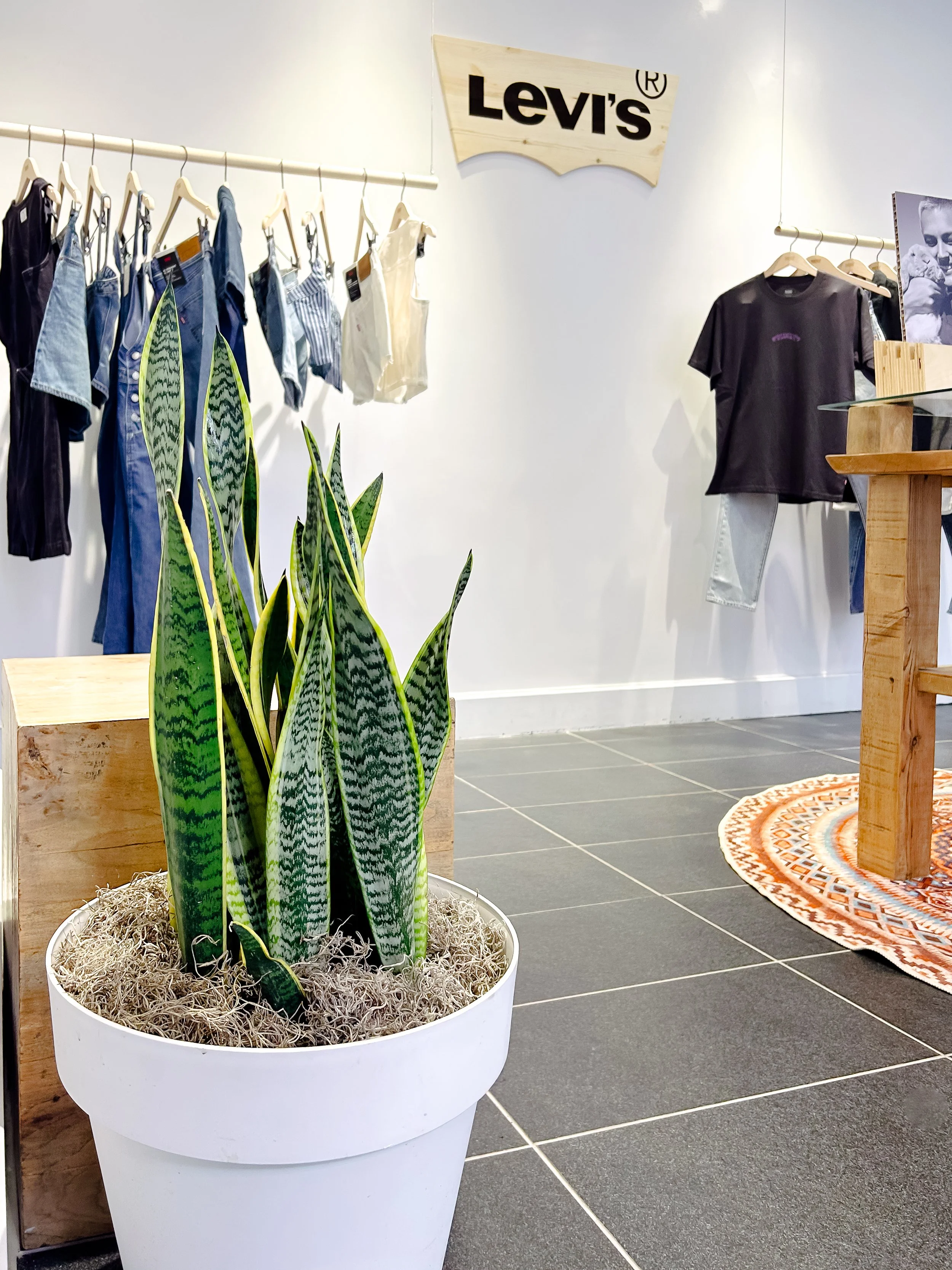 An influencer event, where retail space is decorated by plant rentals