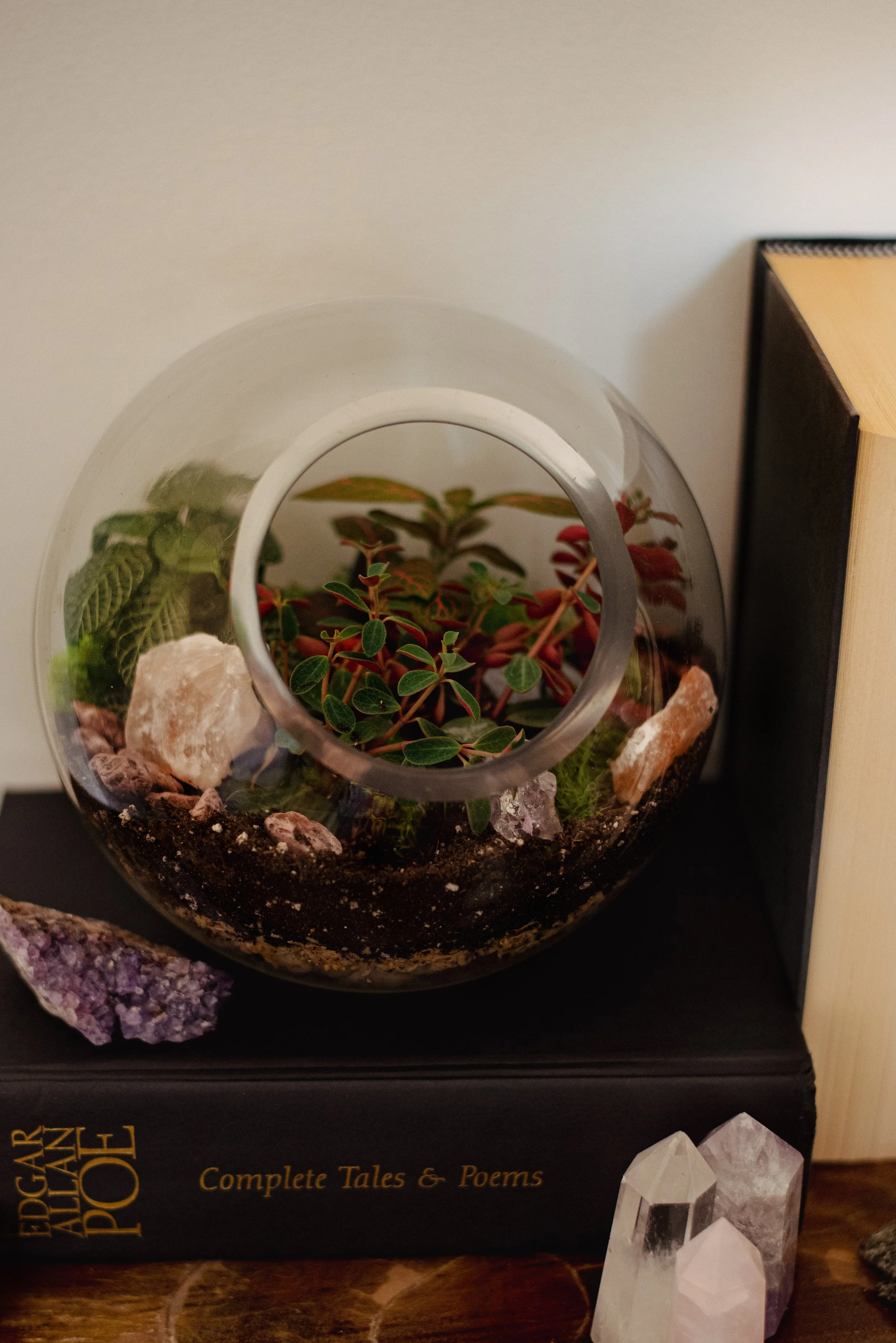 PS-terrarium-plants-crystals.jpg
