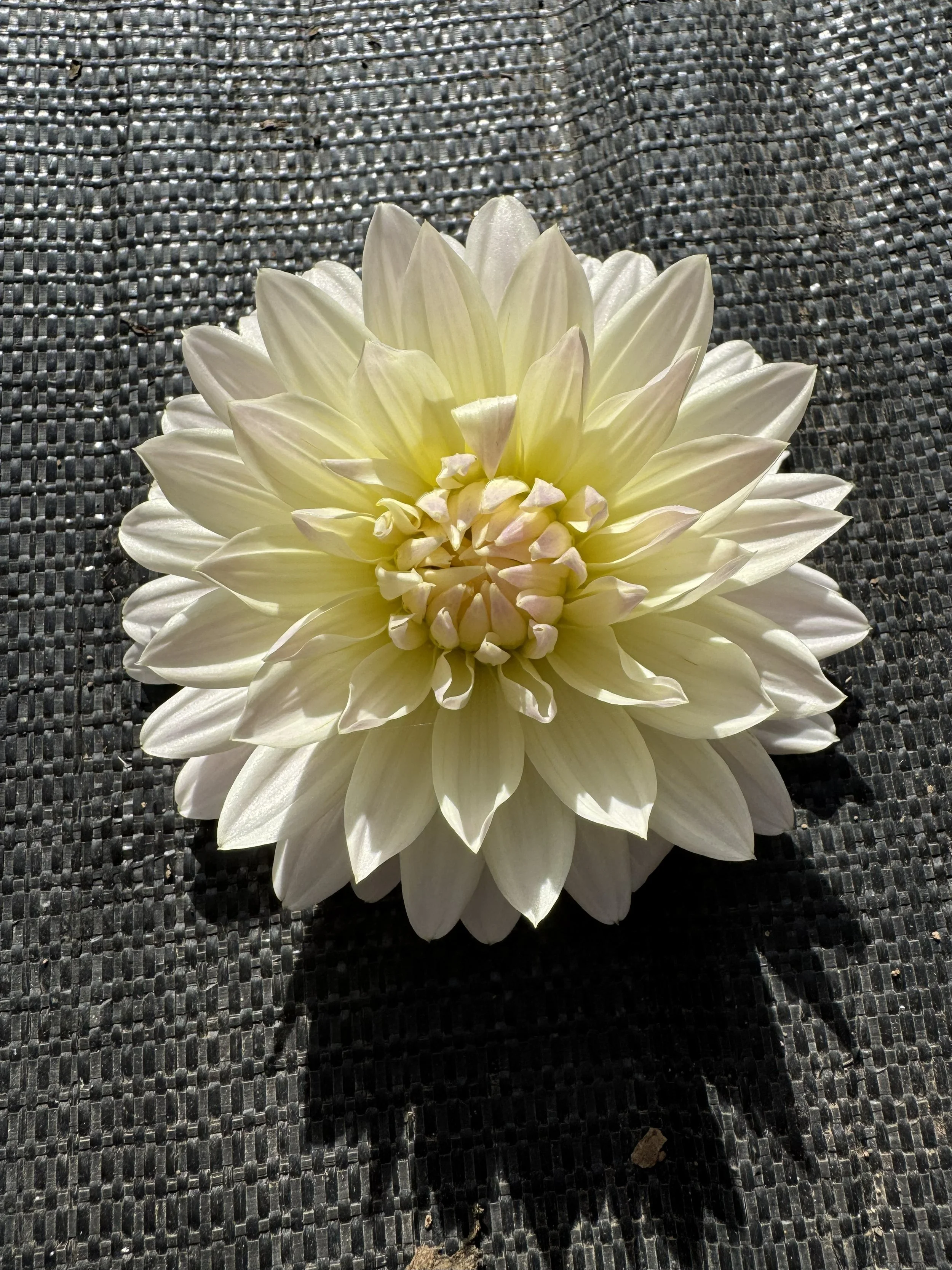 rivers resilience.jpg