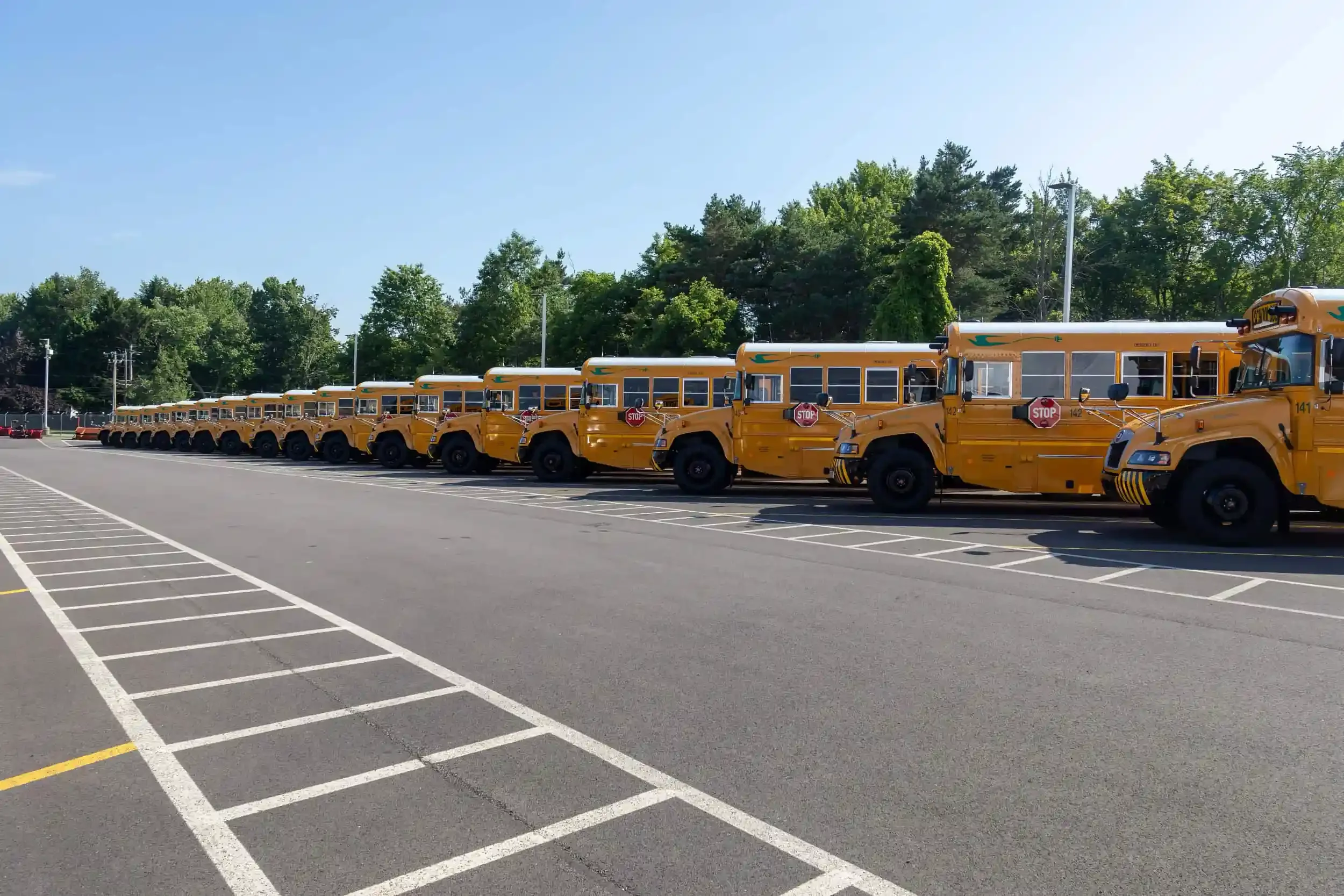A fleet of electric school buses