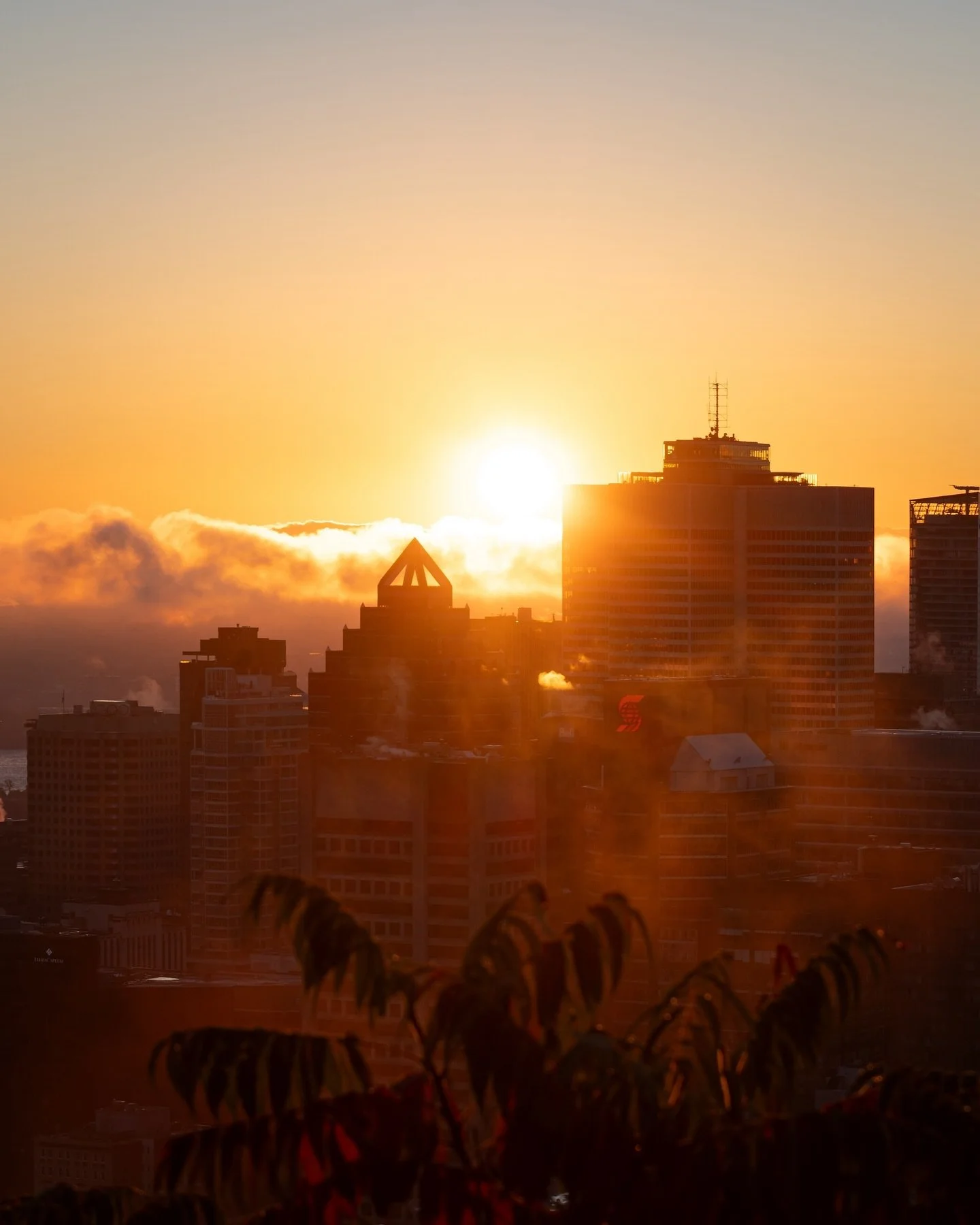 Attention annonce: 
Il semblerait que l&rsquo;hiver soit annul&eacute; cette ann&eacute;e! Il s&rsquo;est point&eacute; &agrave; la douane mais n&rsquo;a pas pu obtenir son titre de s&eacute;jour 😅Dommage&hellip; 
En attendant on profite de ces bell