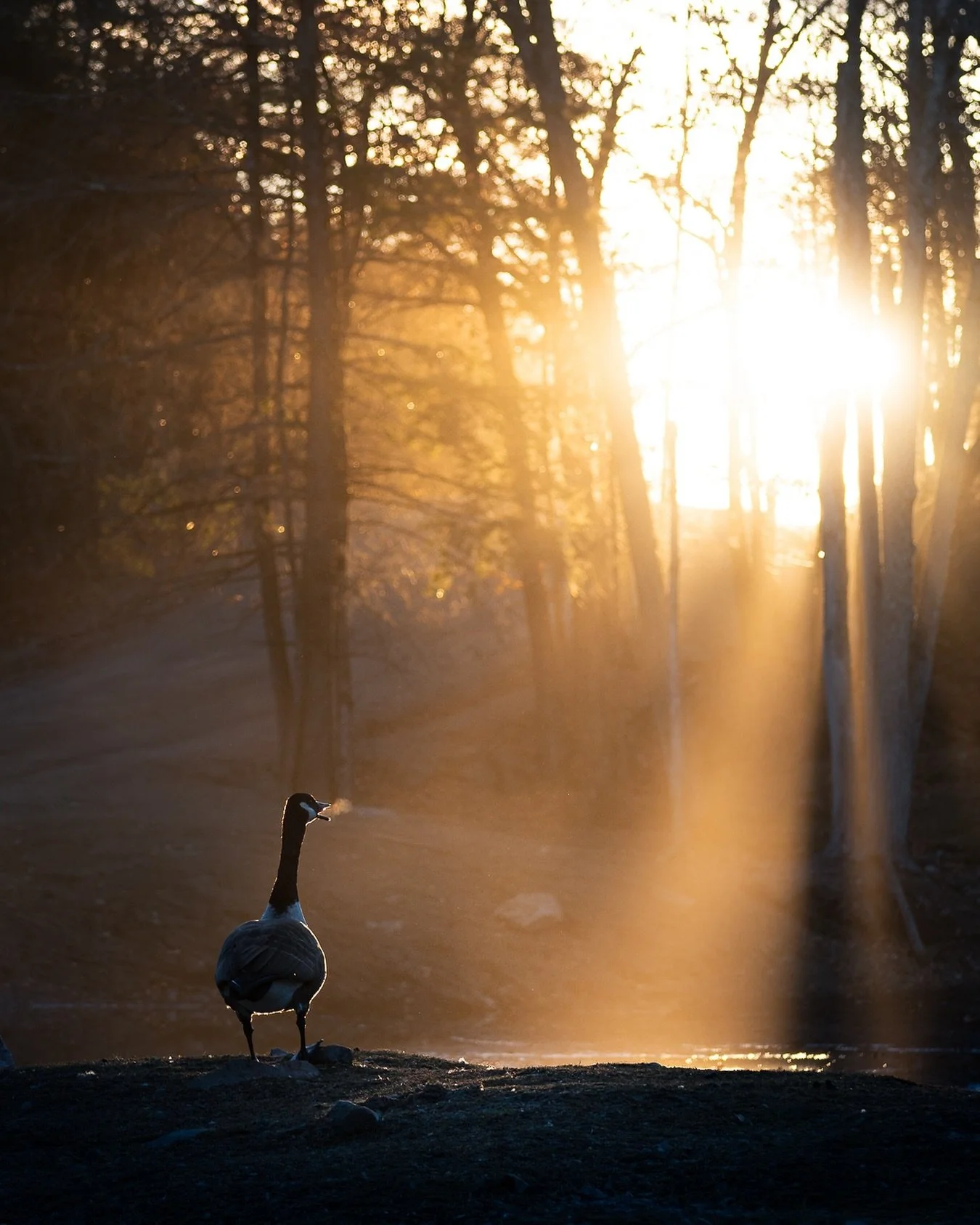 Un peu moins pr&eacute;sent sur les r&eacute;seaux ces temps ci avec beaucoup d&rsquo;introspection mais aussi beaucoup de projets li&eacute;s &agrave; la photographie! 

&Ccedil;a vous arrive d&rsquo;avoir l&rsquo;impression d&rsquo;&ecirc;tre un pe