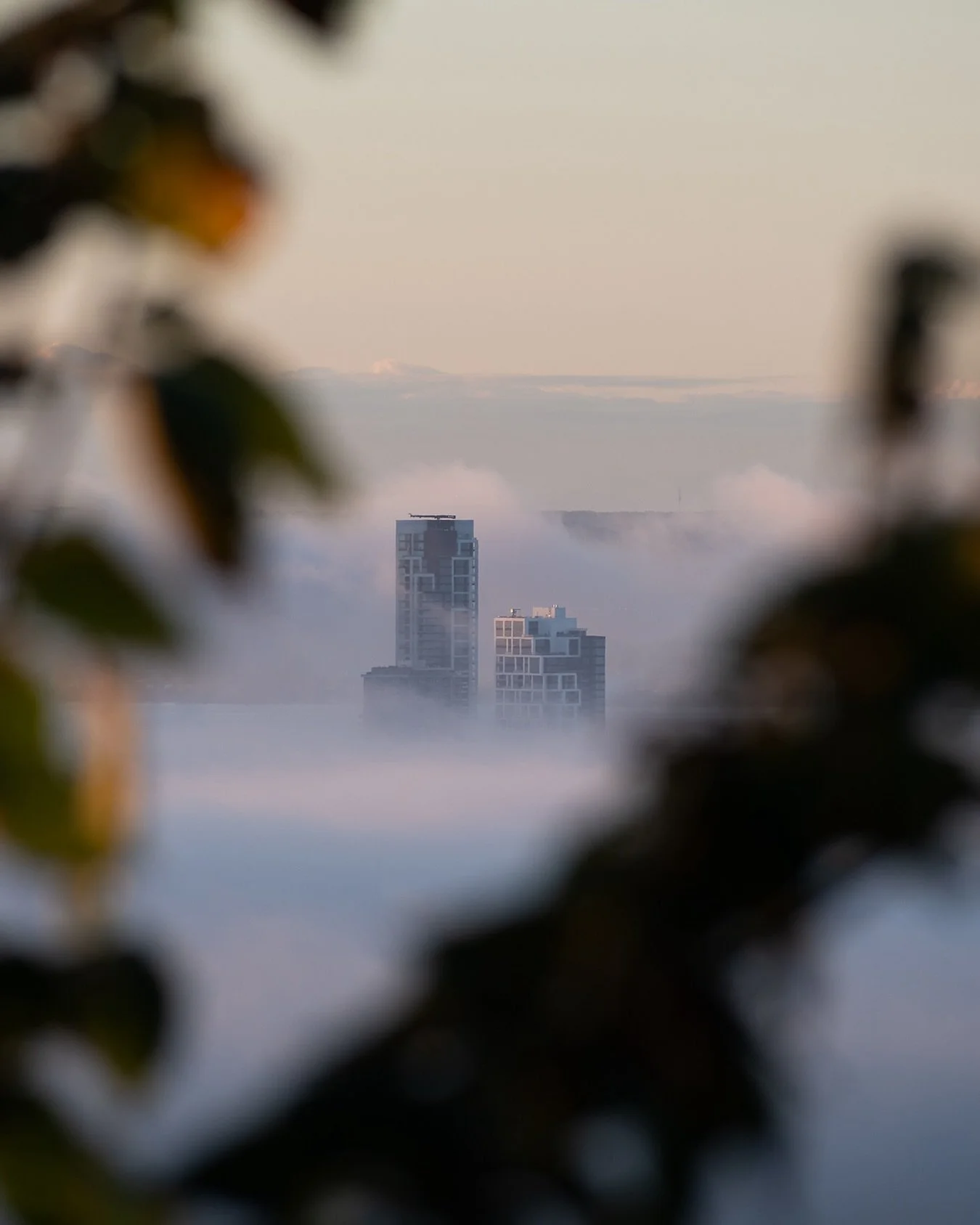 Les meilleurs levers de soleil au Mont-Royal sont ceux avec de la brume sur la ville 🤩 Cette fois-ci, c&rsquo;&eacute;tait bien moins impressionnant qu&rsquo;en 2022 mais les abords du Saint-Laurent &eacute;tait vraiment perdu dans un &eacute;pais b
