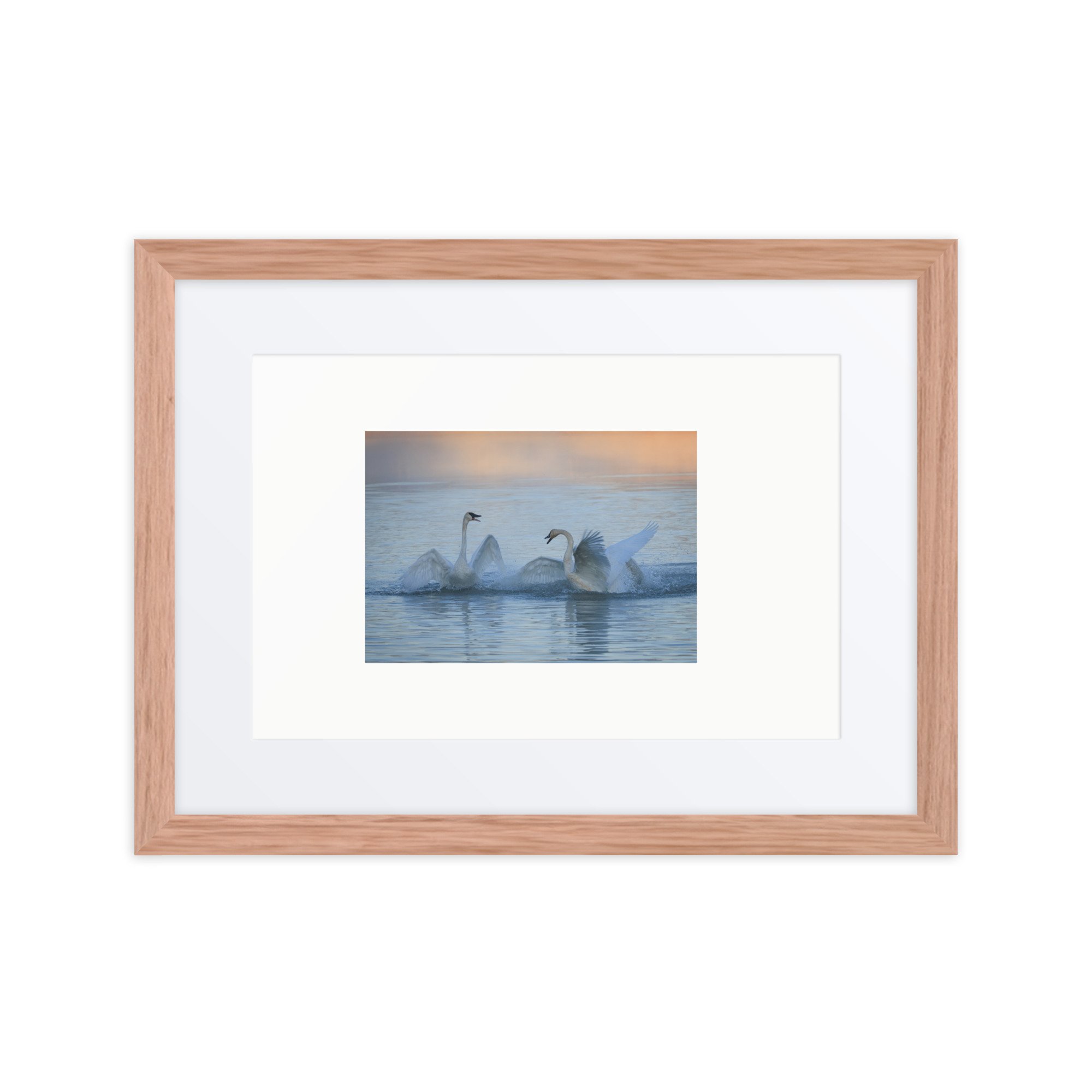 matte-paper-framed-poster-with-mat-(in)-red-oak-12x16-front-6730e0656f118.jpg