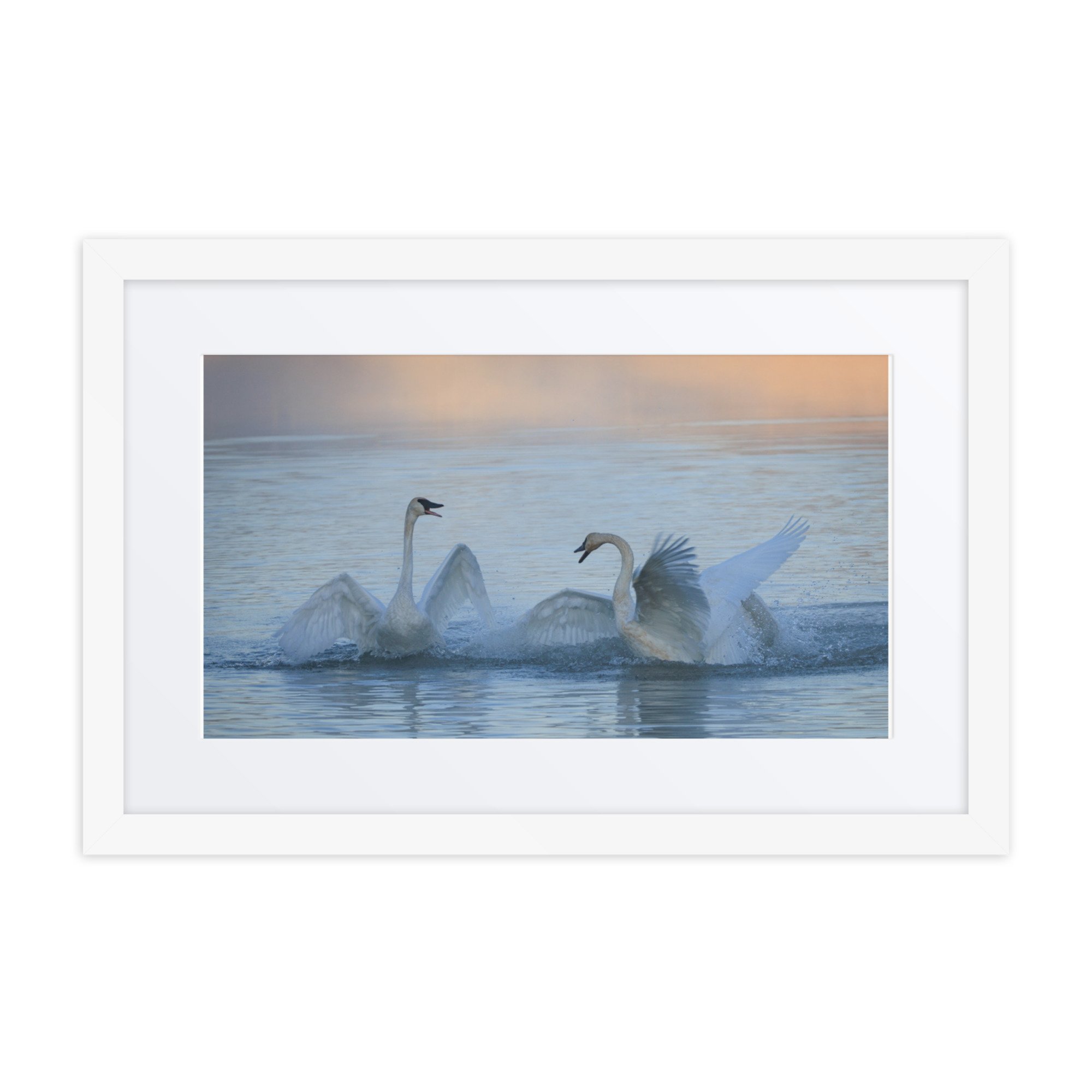 matte-paper-framed-poster-with-mat-(in)-white-12x18-front-6730e0656f3cc.jpg